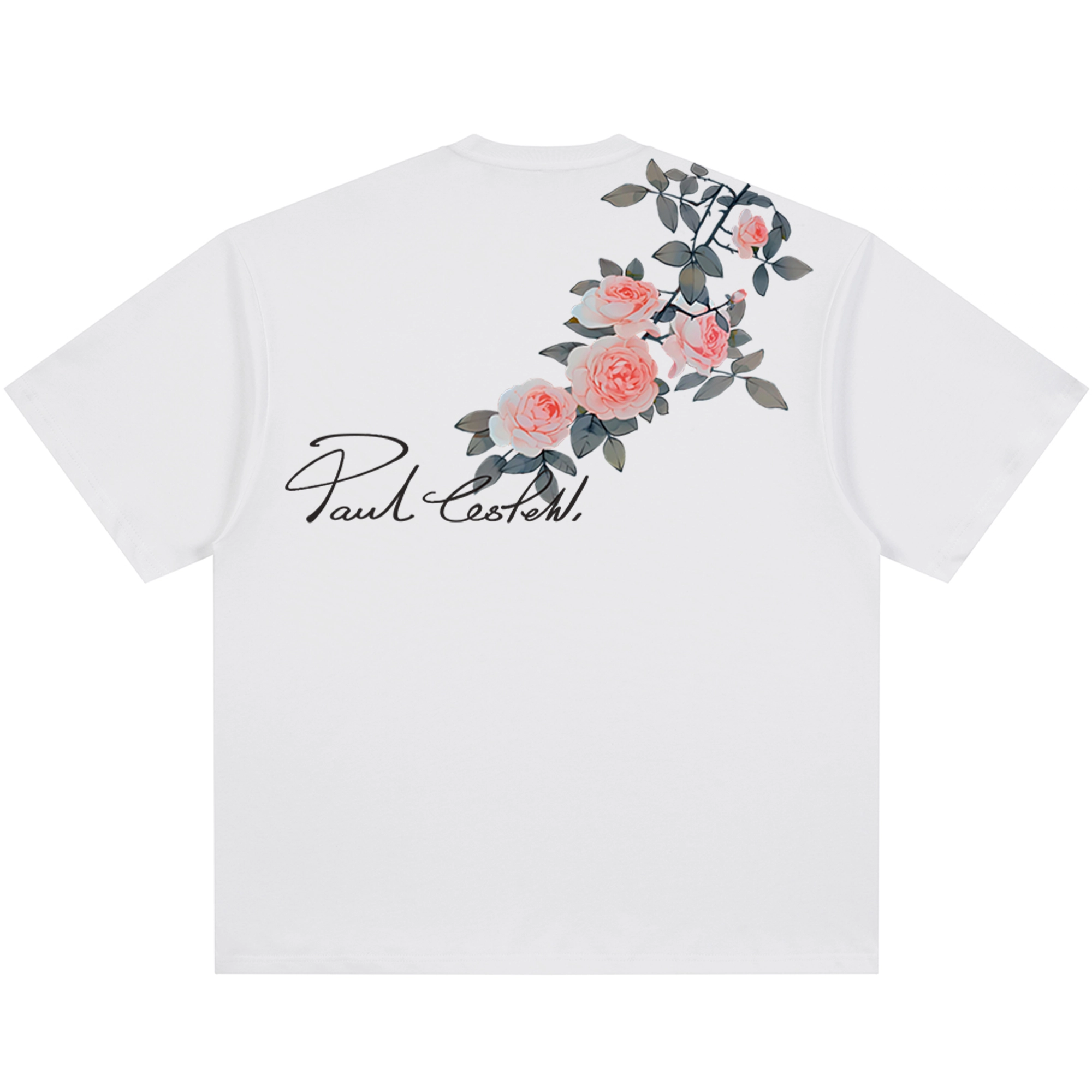 PAUL COSTELLOE logoT