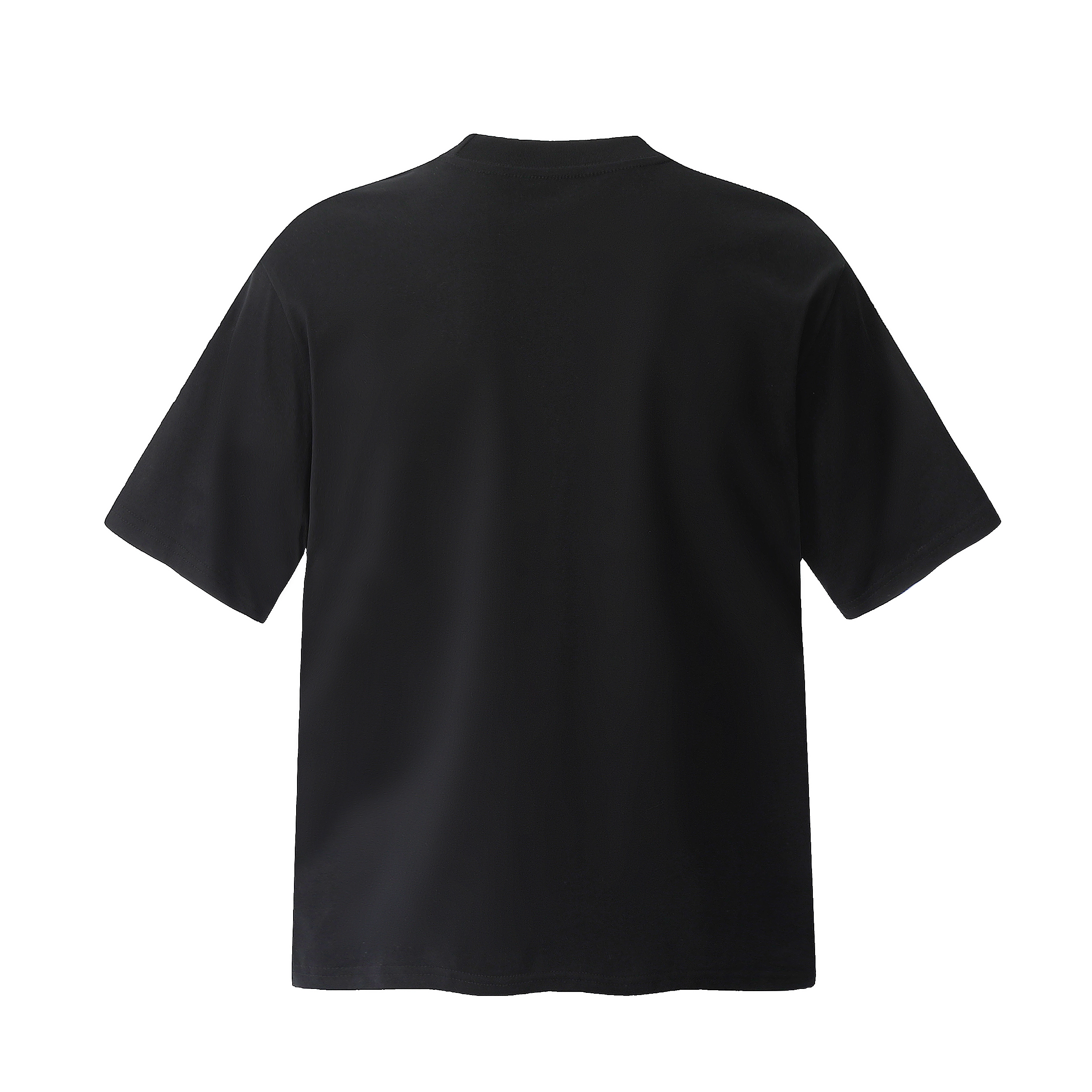 PAINT STAIN cleanfitT