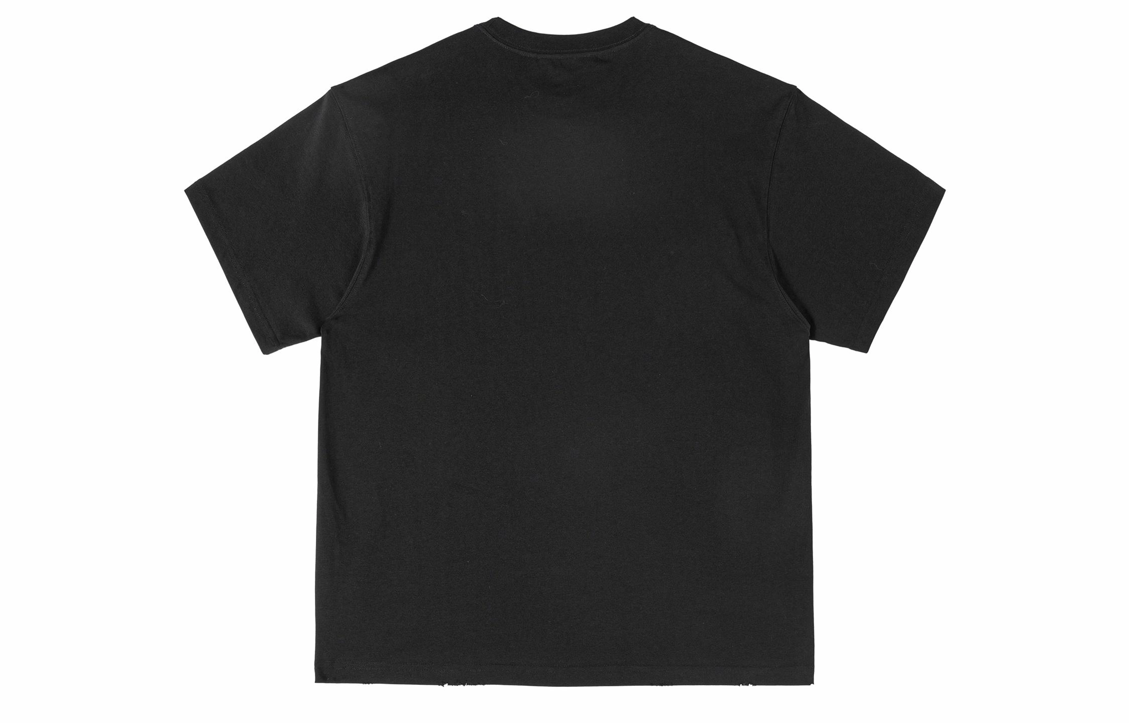 ICONS Lab ICS T
