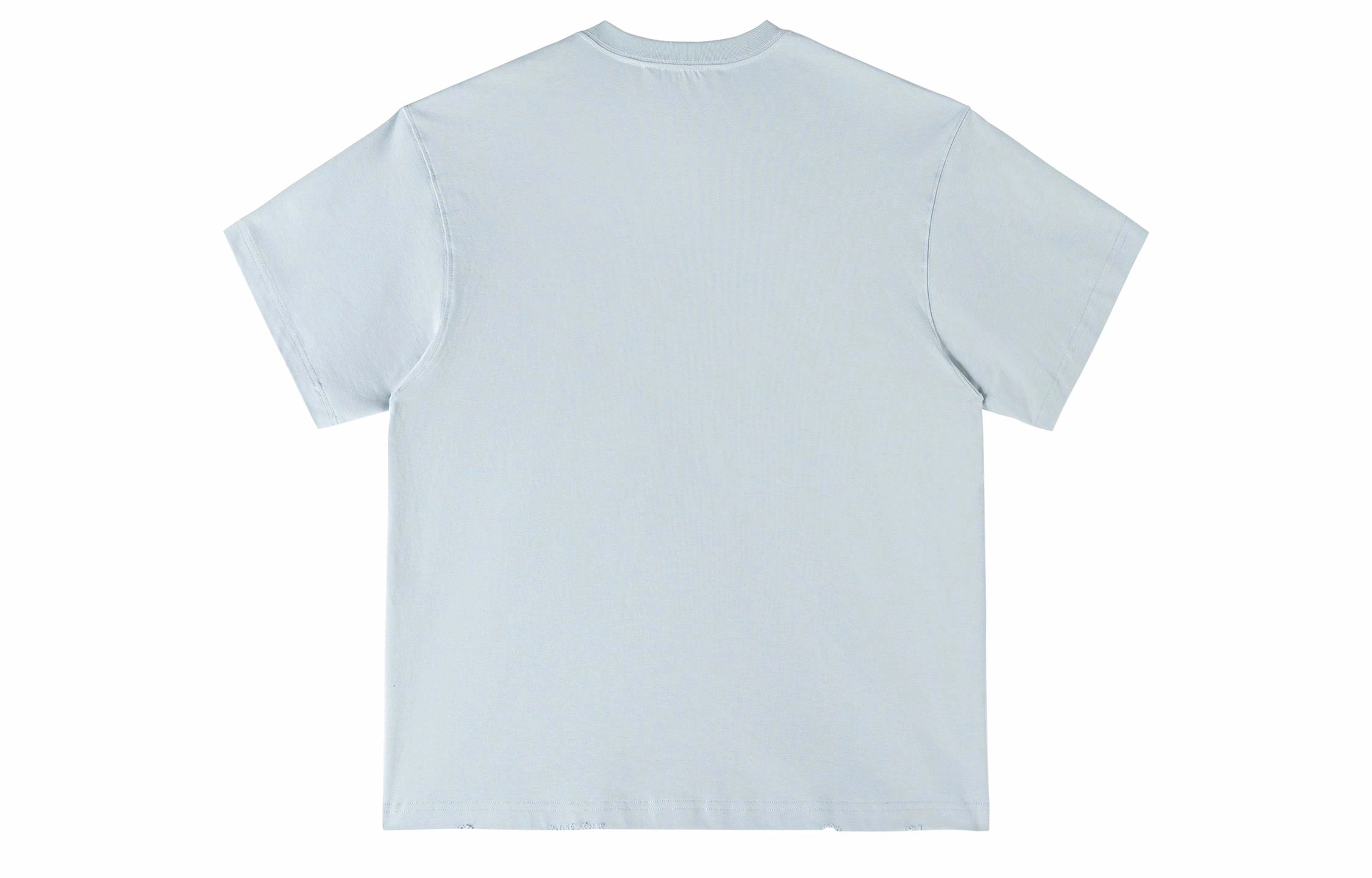 ICONS Lab ICS T