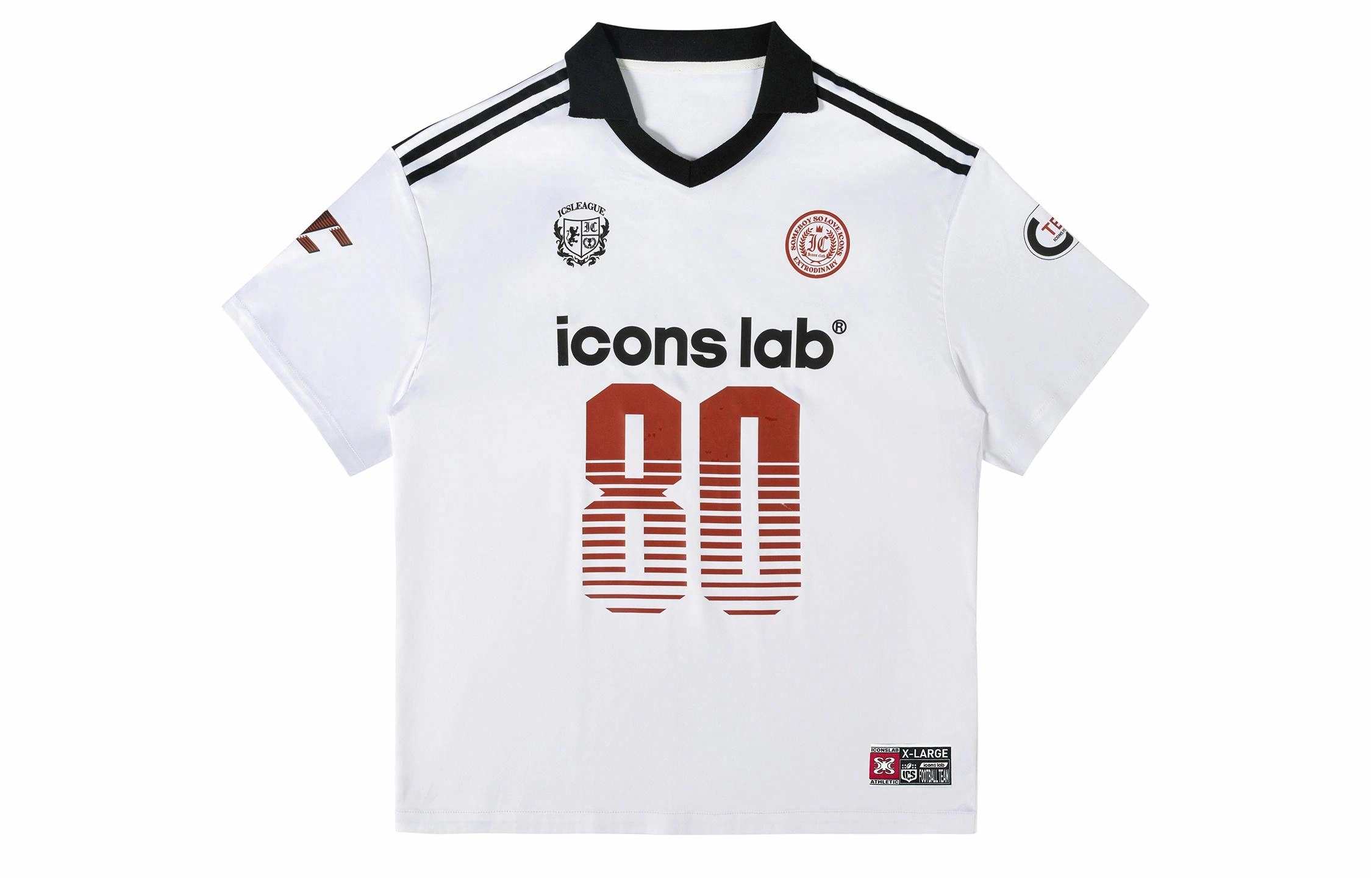 ICONS Lab T
