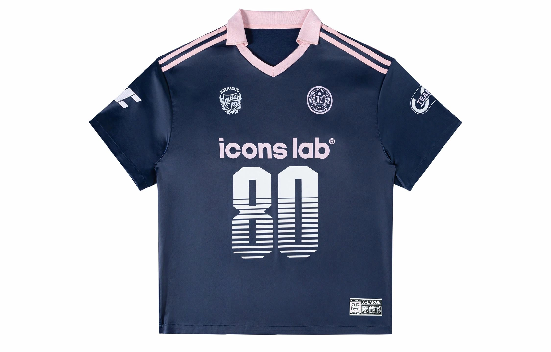 ICONS Lab T