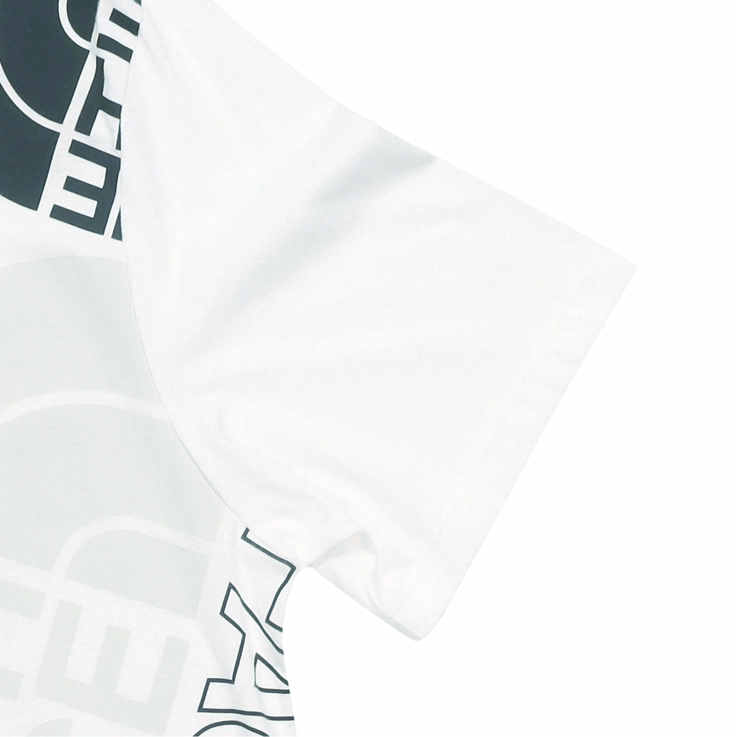 THE NORTH FACE LogoT