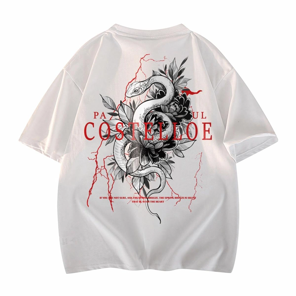 PAUL COSTELLOE T