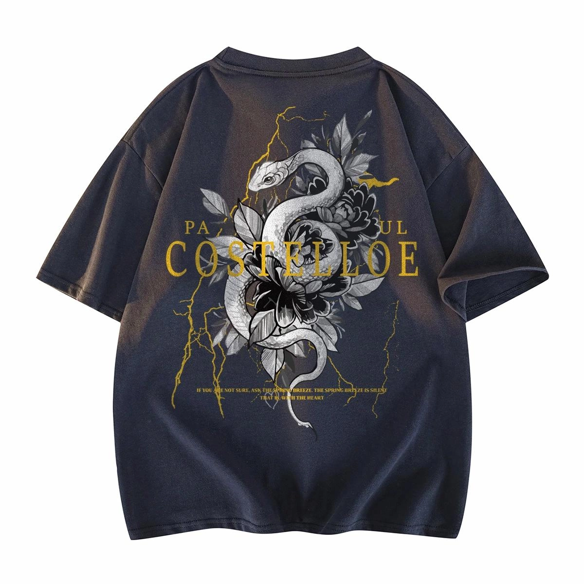 PAUL COSTELLOE T