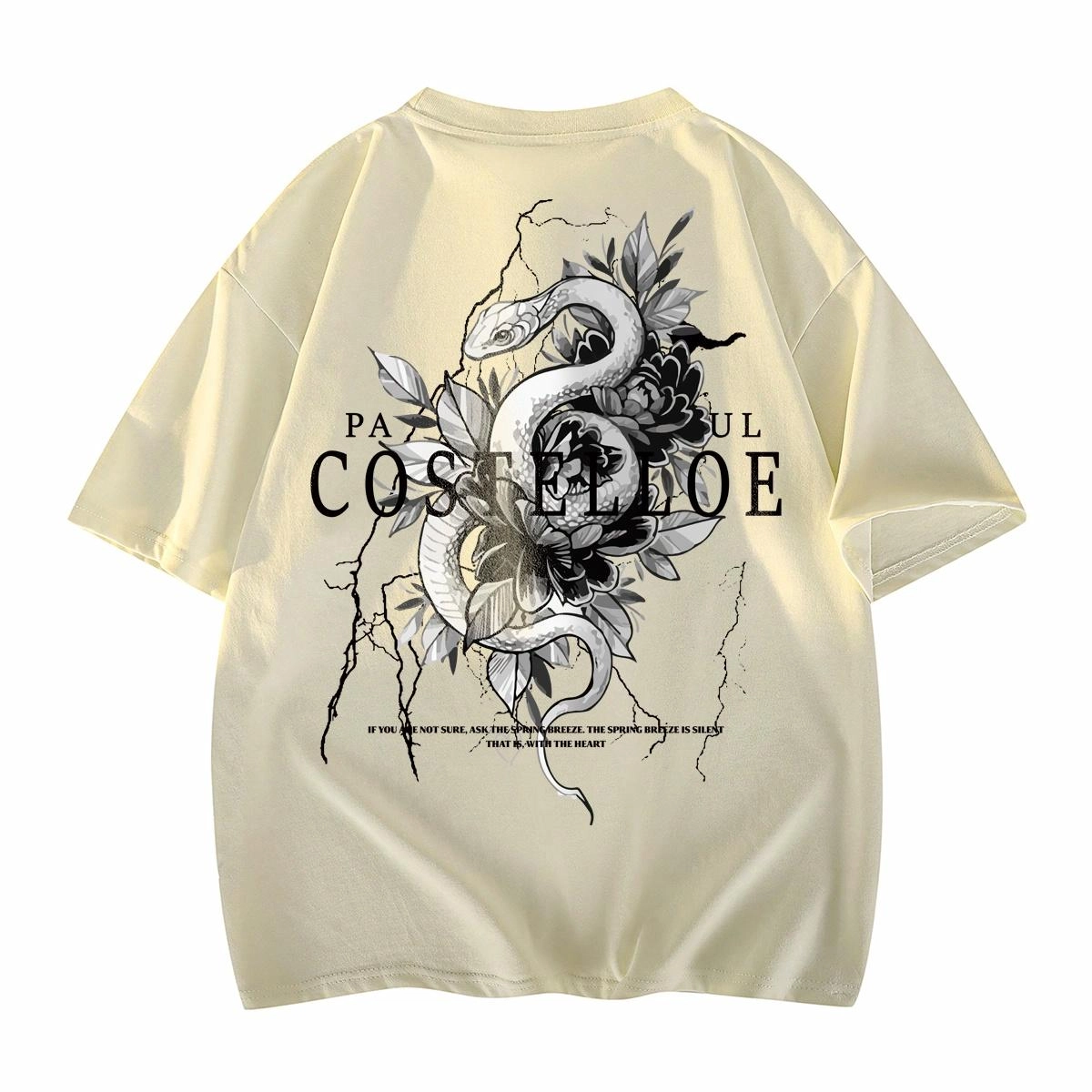 PAUL COSTELLOE T