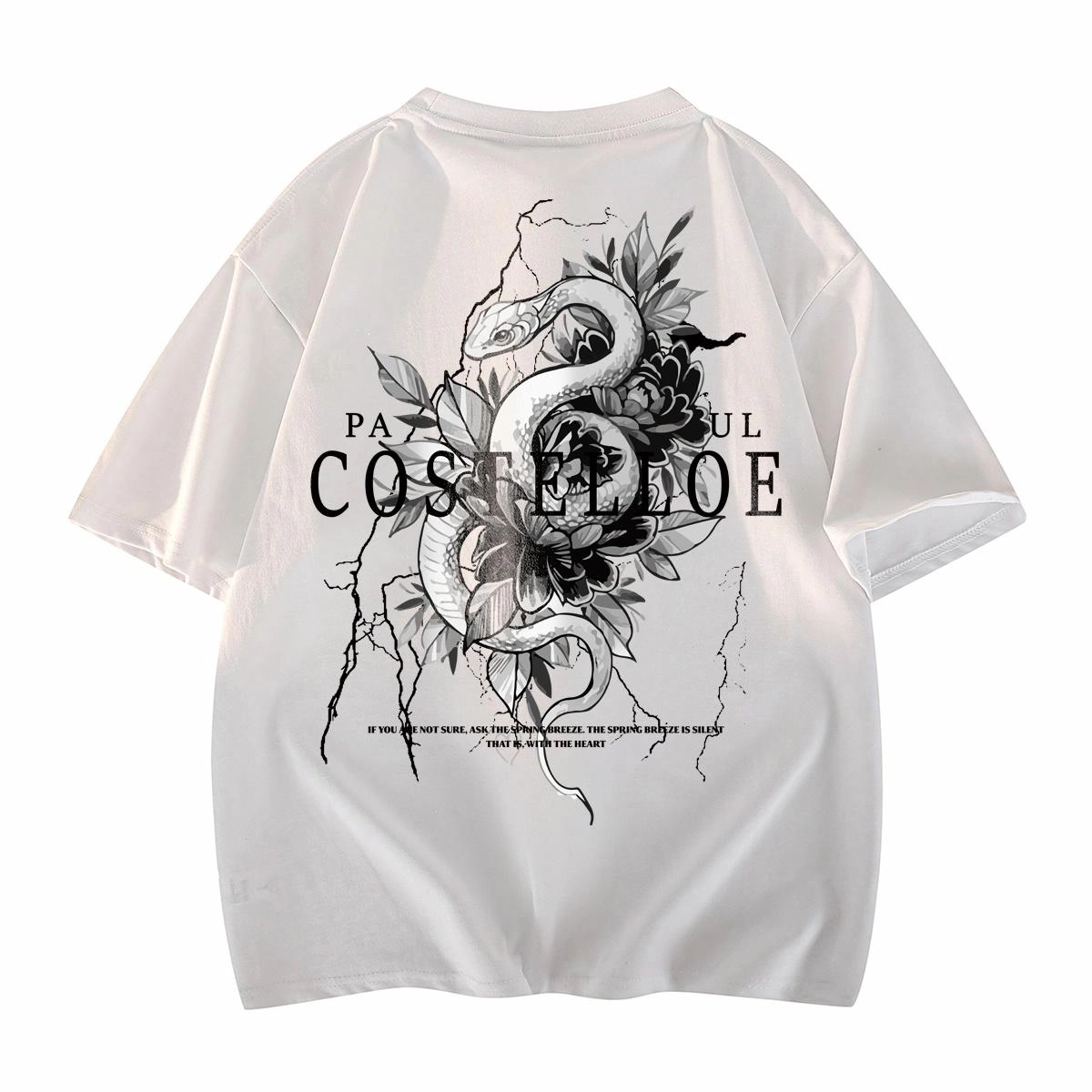 PAUL COSTELLOE T