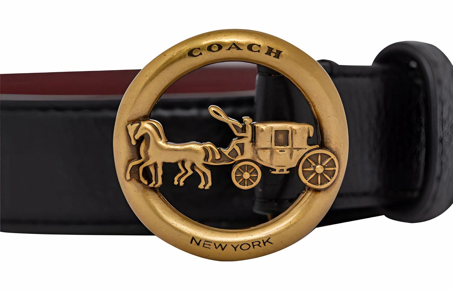 COACH 2.5cm