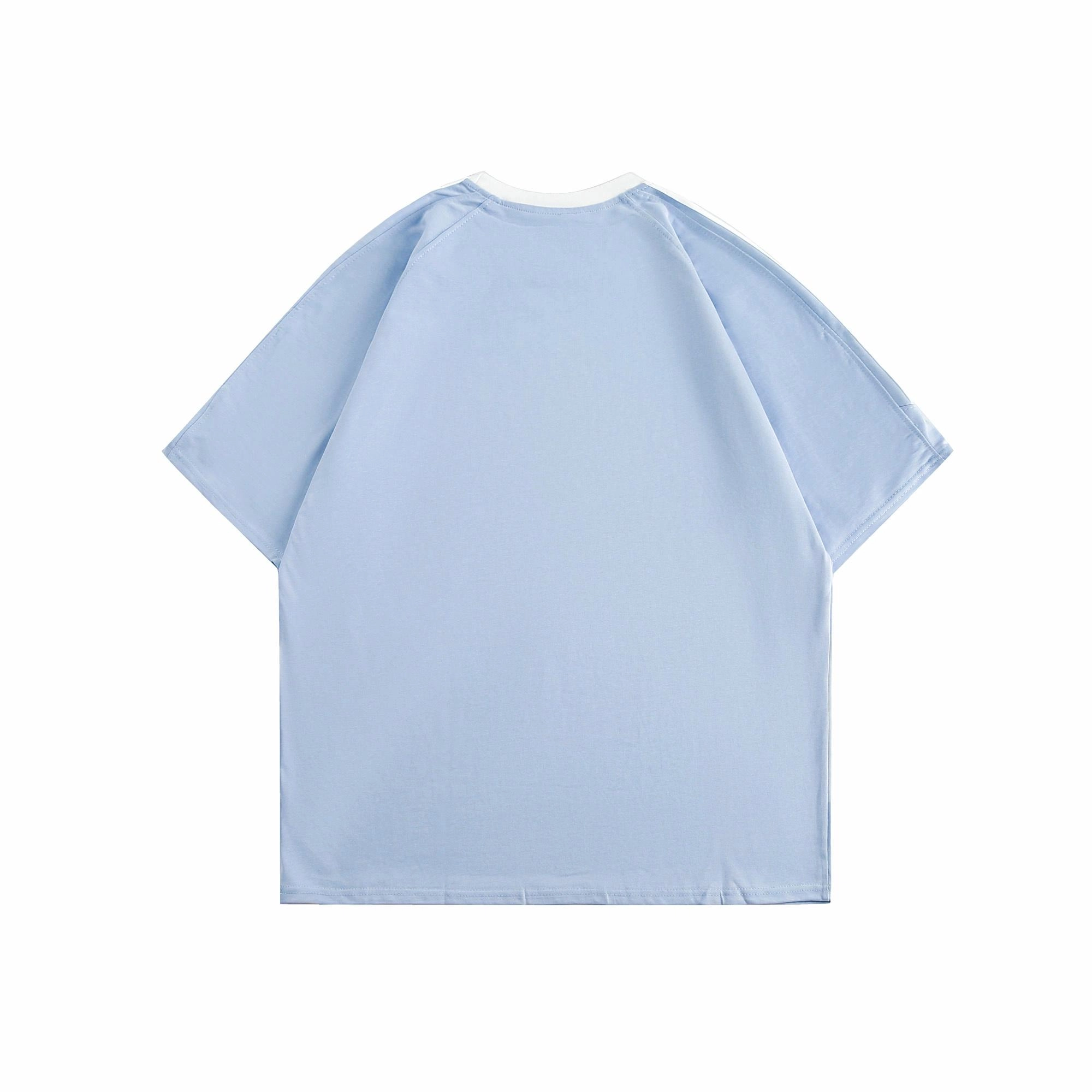PUNCTILIOUS T