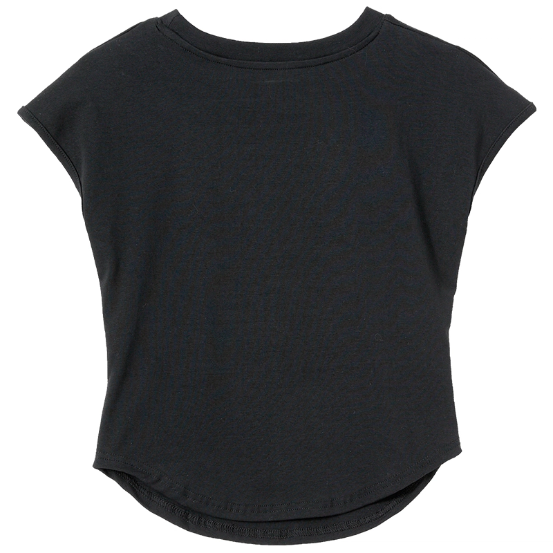 WESTLINK T