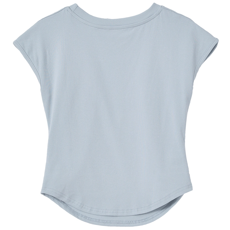 WESTLINK T
