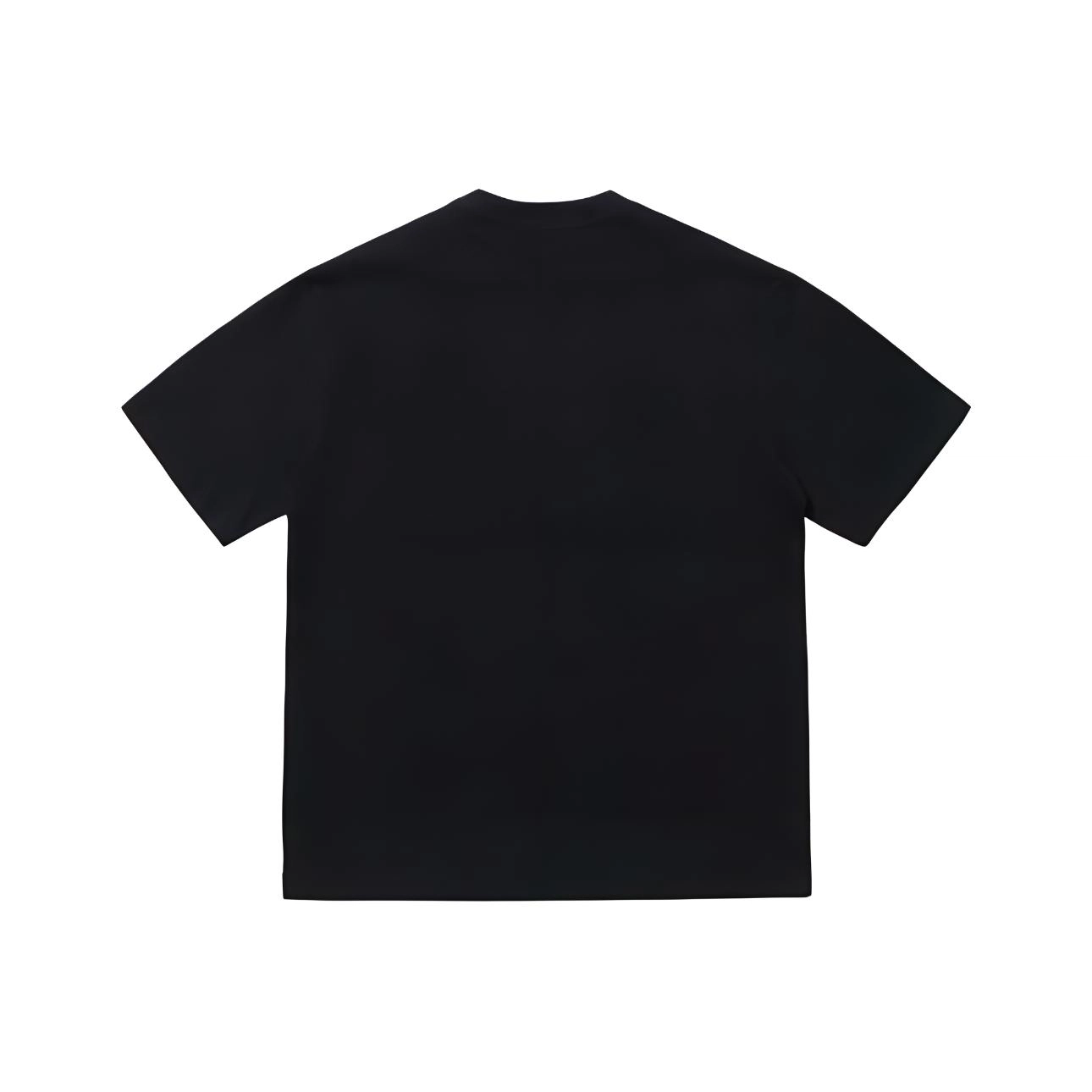 PAINT STAIN T