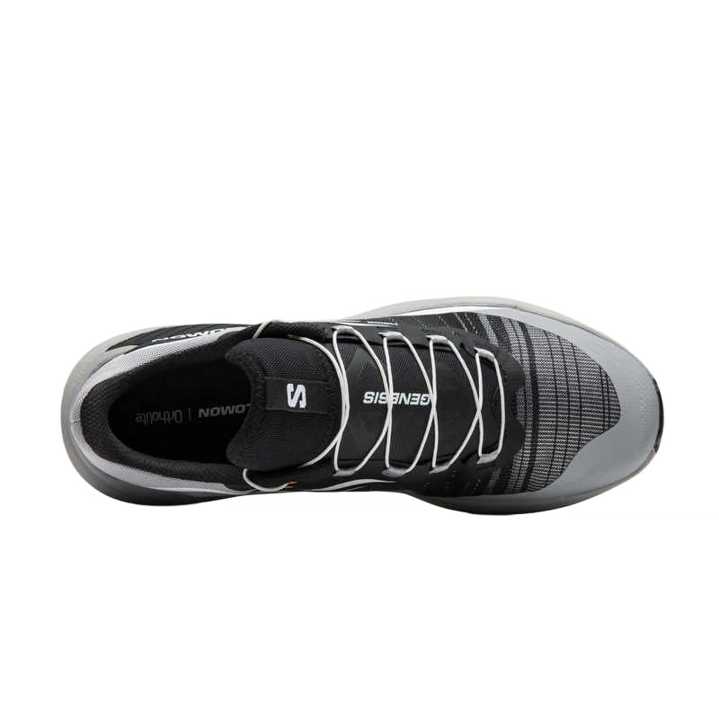 SALOMON GENESIS