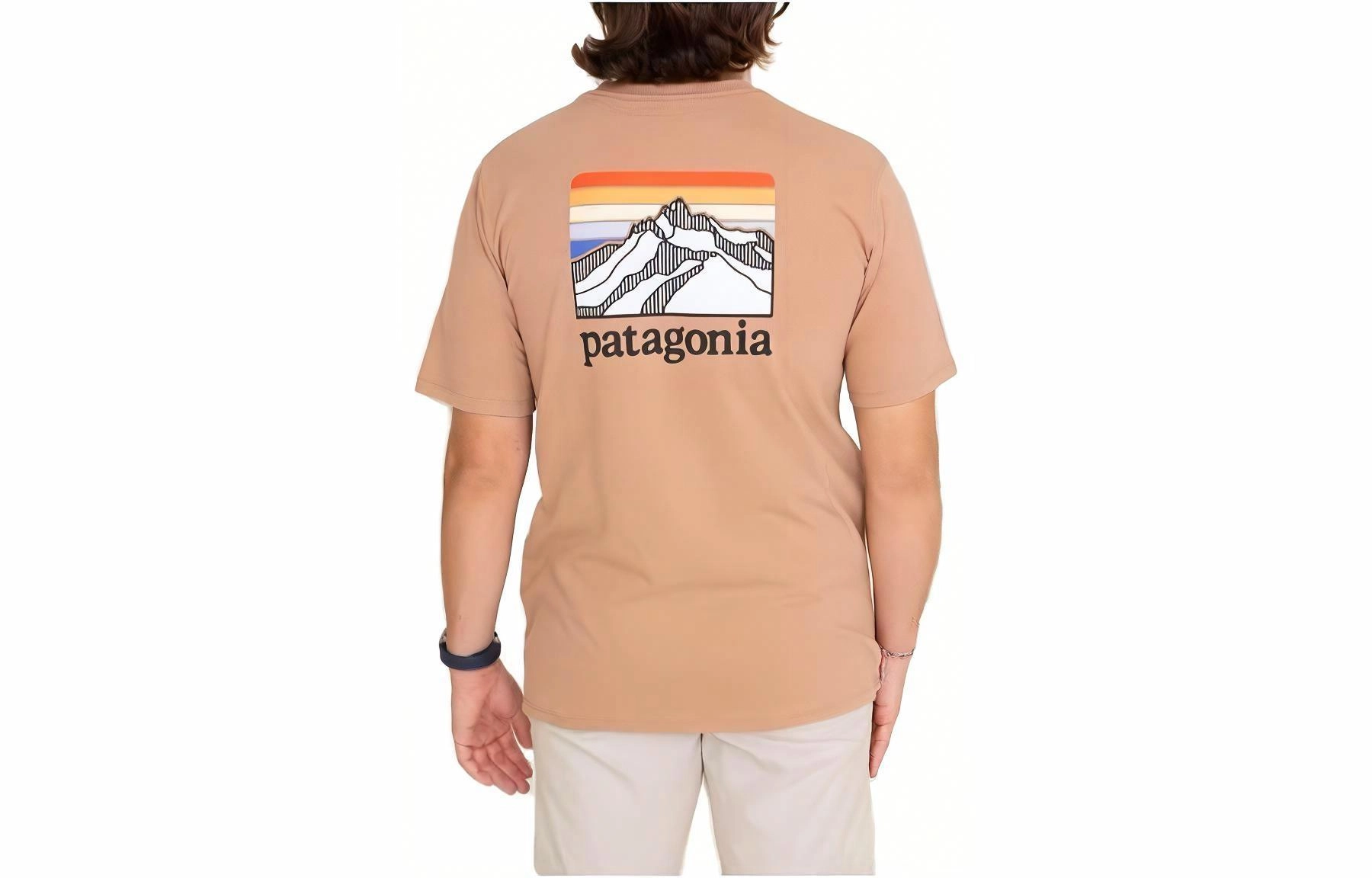 patagonia Responsibili-Tee Logo T