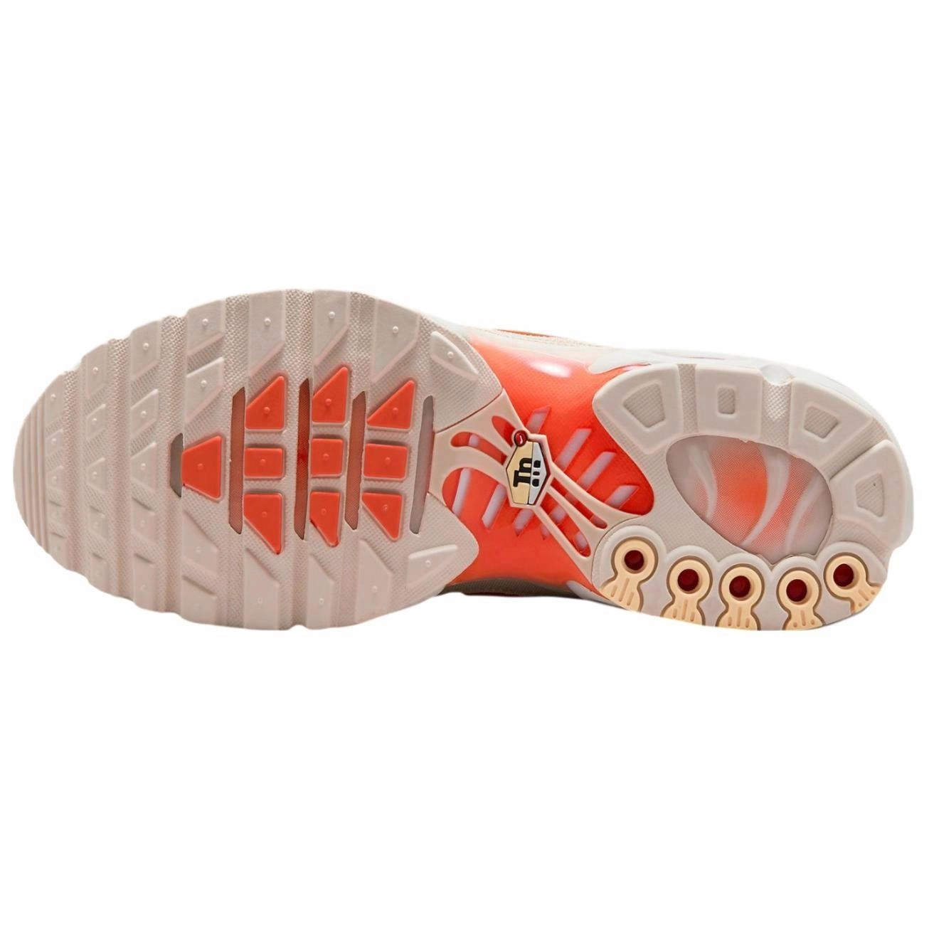 Nike Air Max Plus