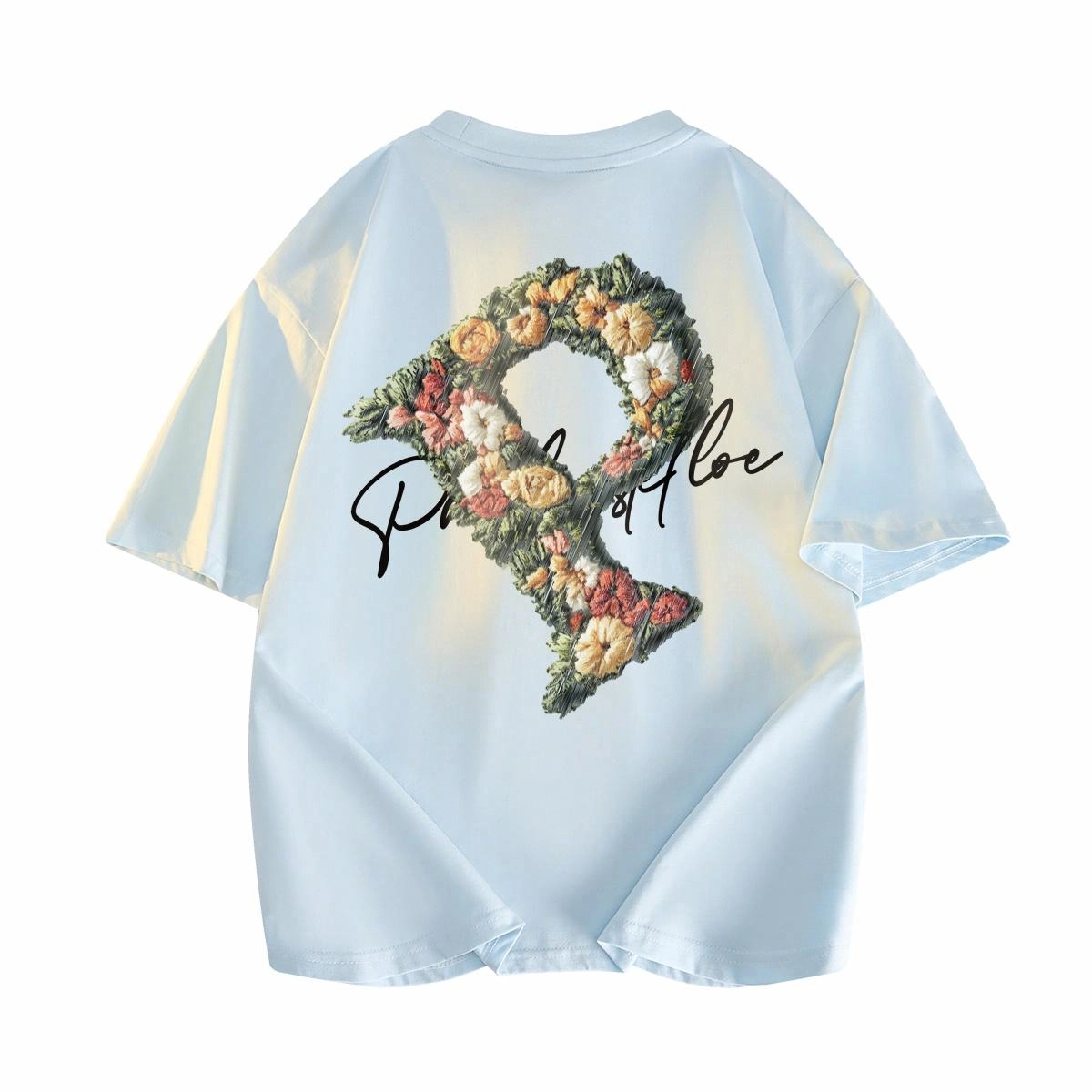 PAUL COSTELLOE T