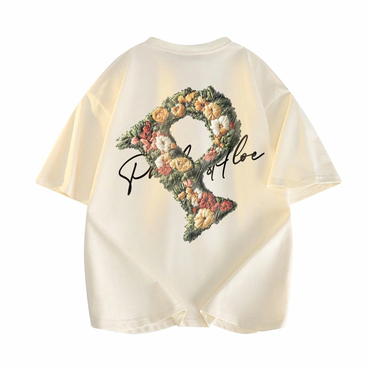 PAUL COSTELLOE T