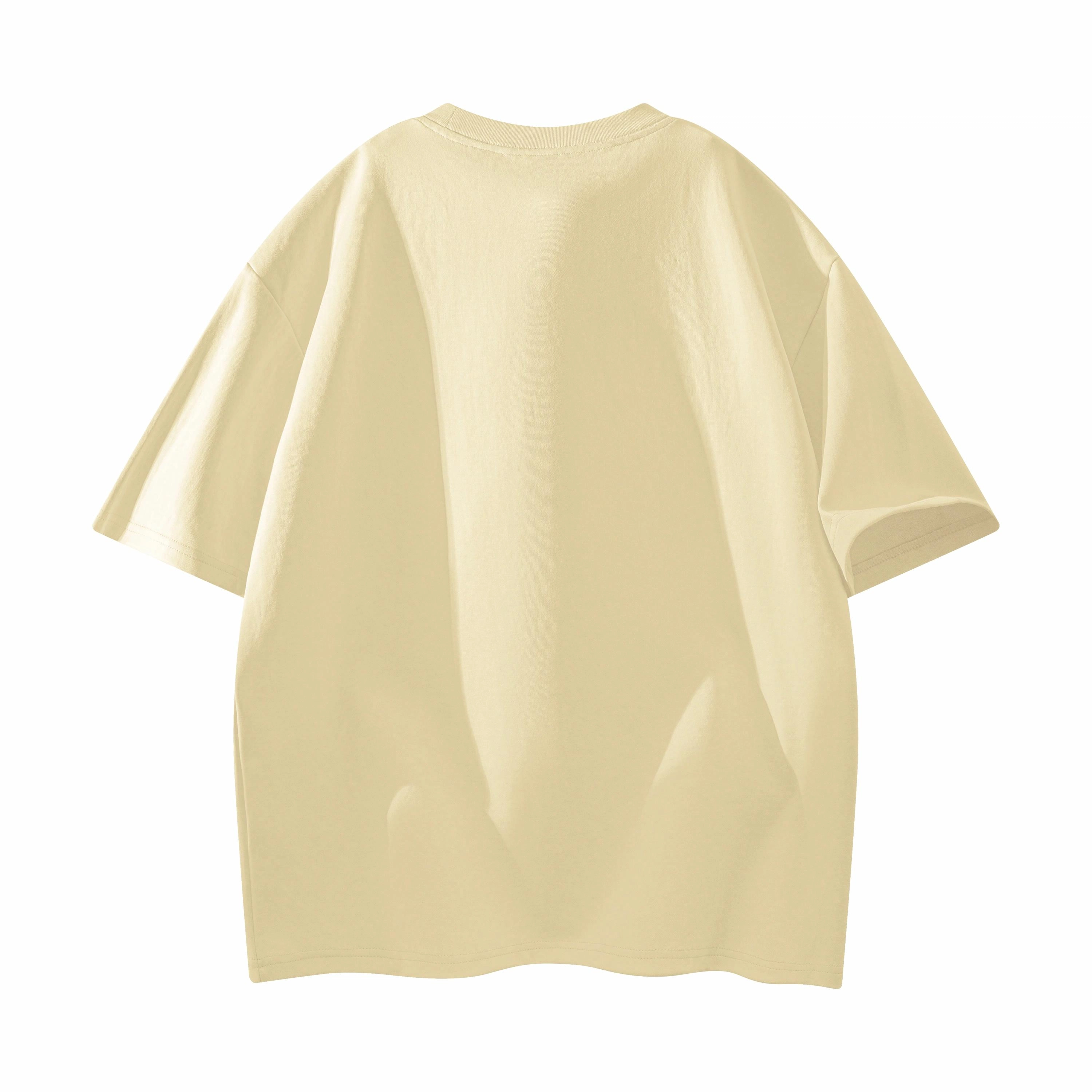 CDISHOU T