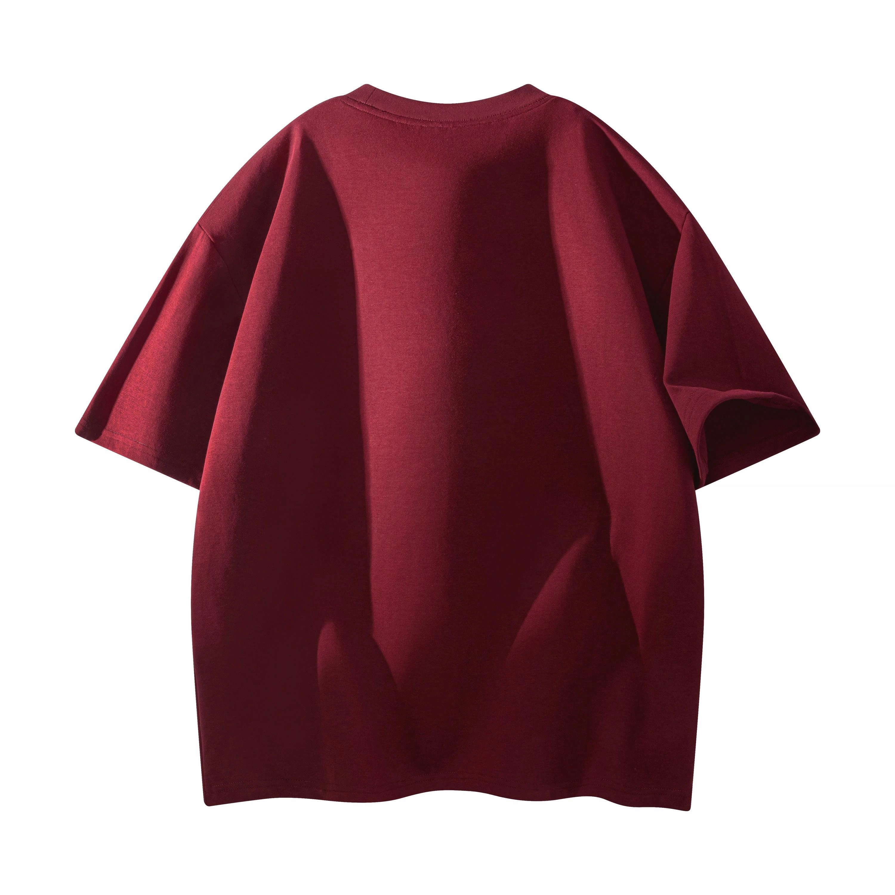 CDISHOU T