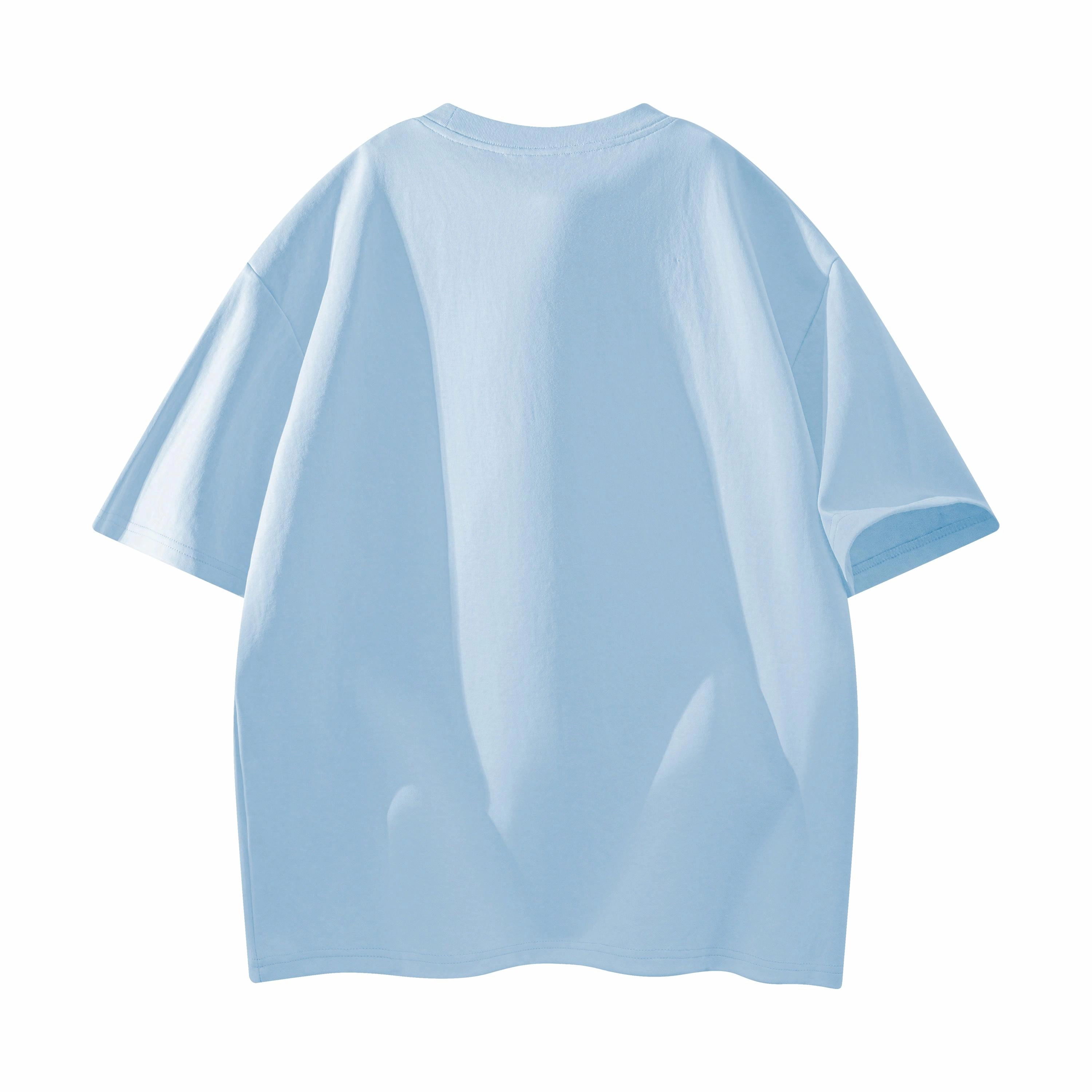 CDISHOU T