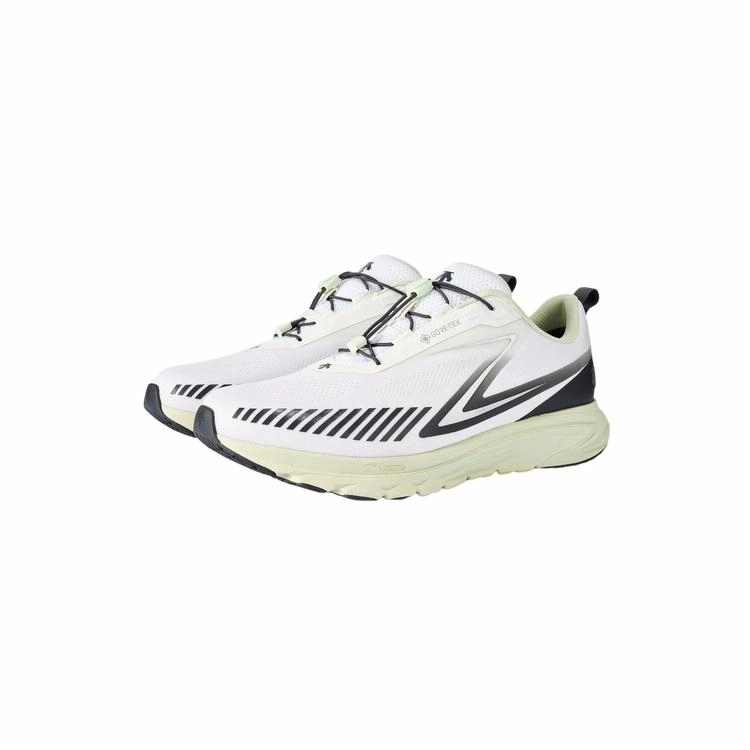 DESCENTE Enerzite GORE-TEX