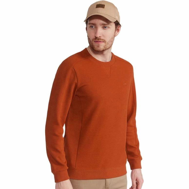 CAMEL ACTIVE