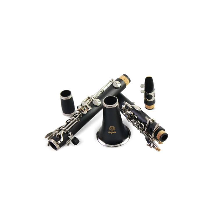 XINGHAI INSTRUMENT E-321 B )