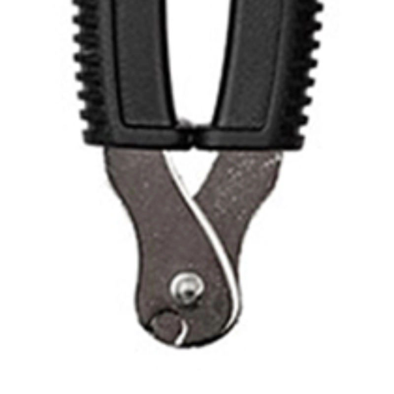 D'Addario DP0002 31