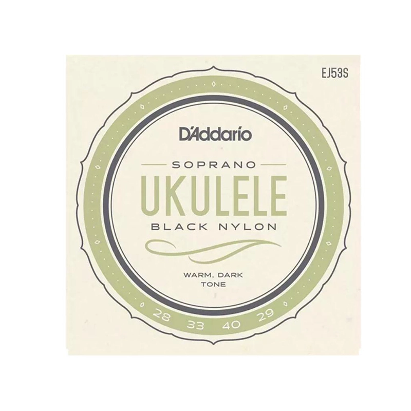 D'Addario EJ53