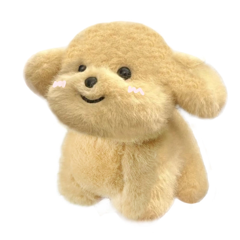 20cm30cm