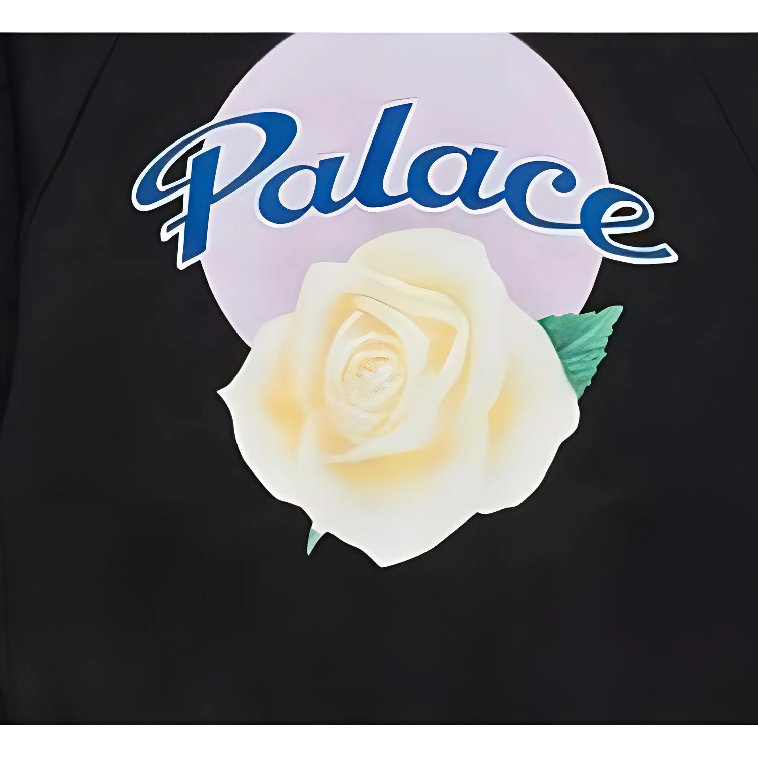 Y-3 x PALACE FW22 Logo