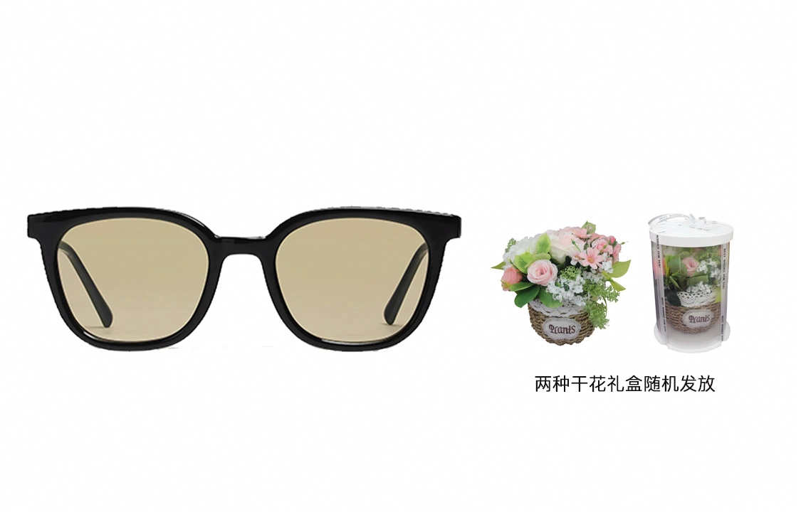 GENTLE MONSTER Lilit 01BRFLATBA