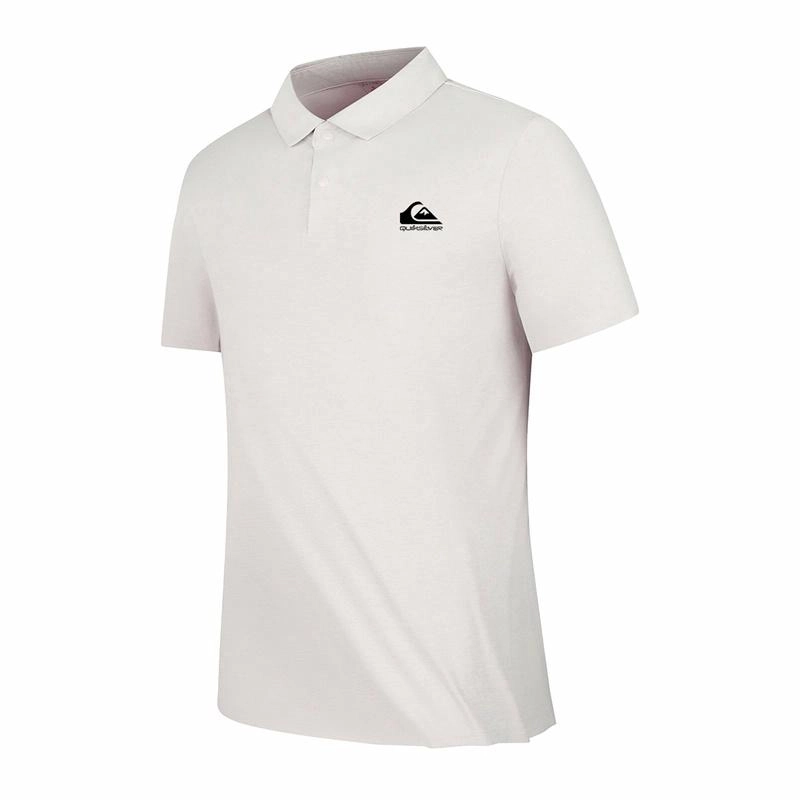 Quiksilver LogoT
