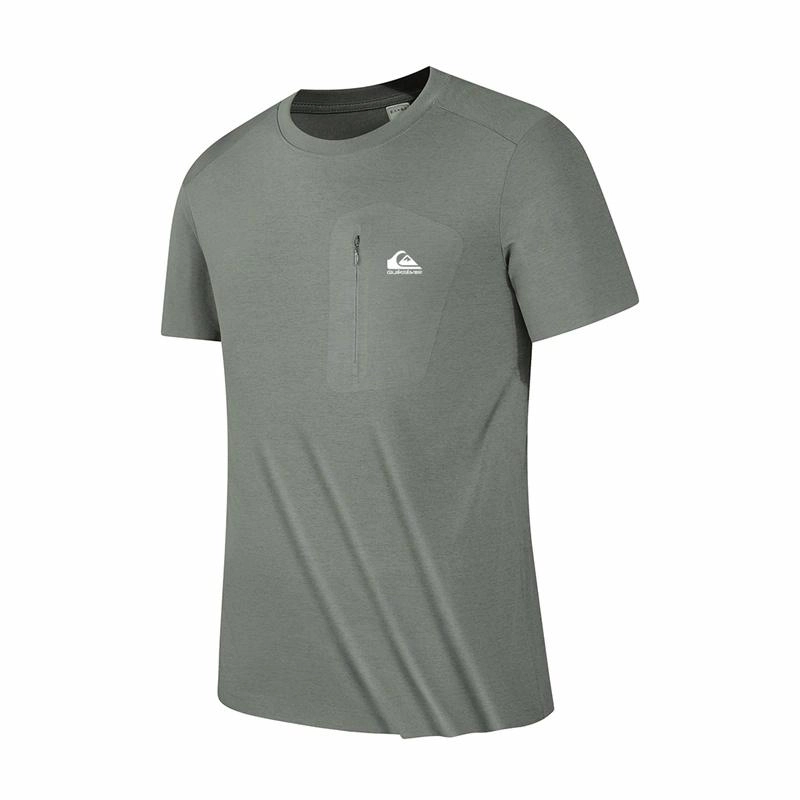 Quiksilver LogoT