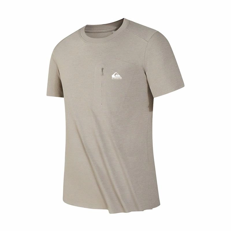 Quiksilver LogoT