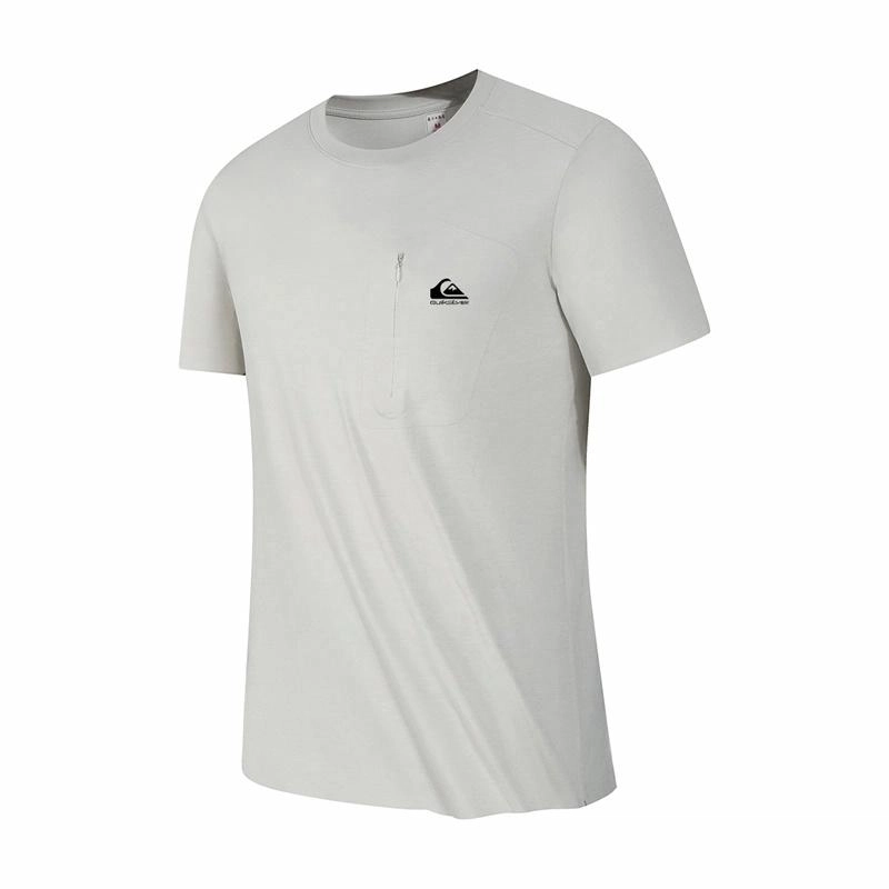 Quiksilver LogoT