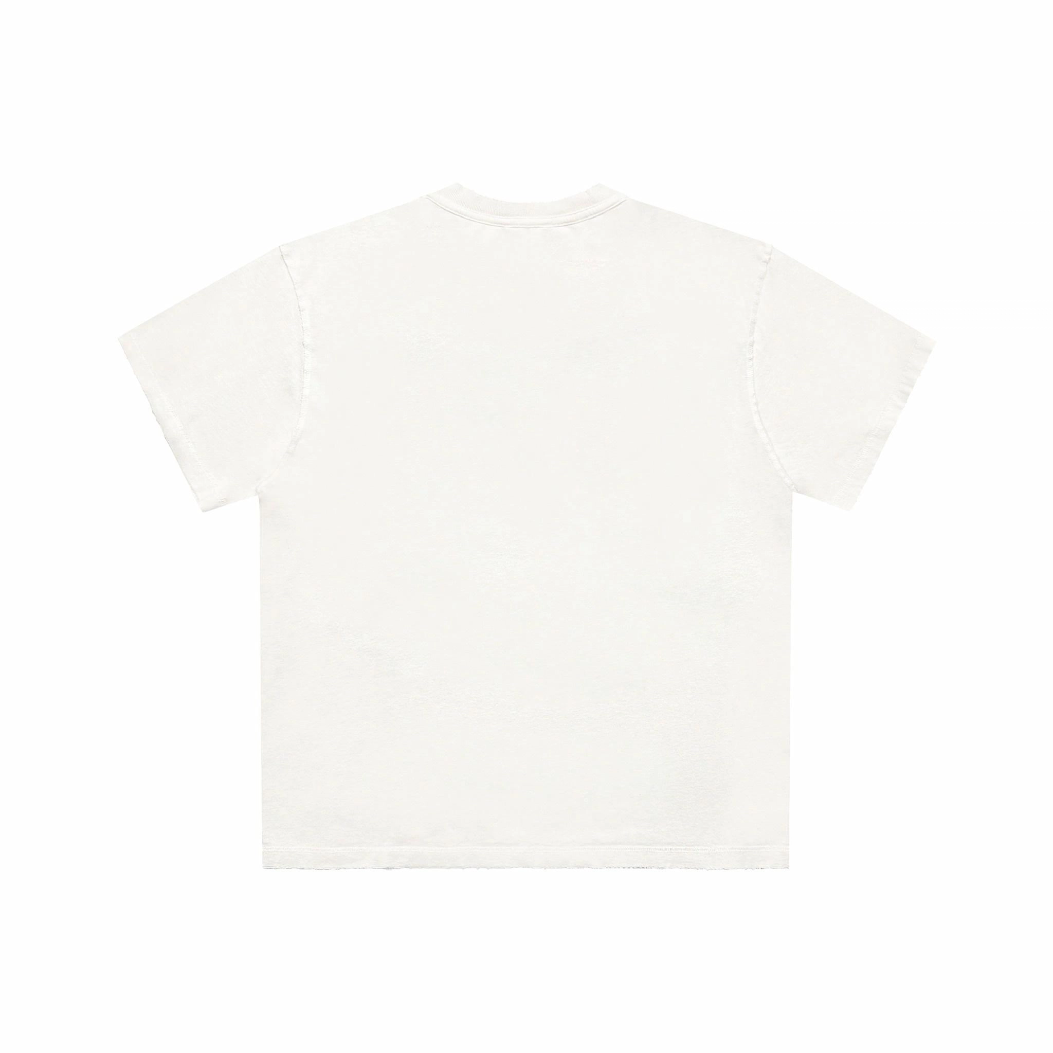 False Perception T