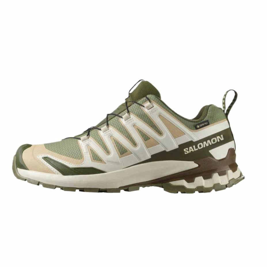 SALOMON XA Pro 3D V9 GORE-TEX