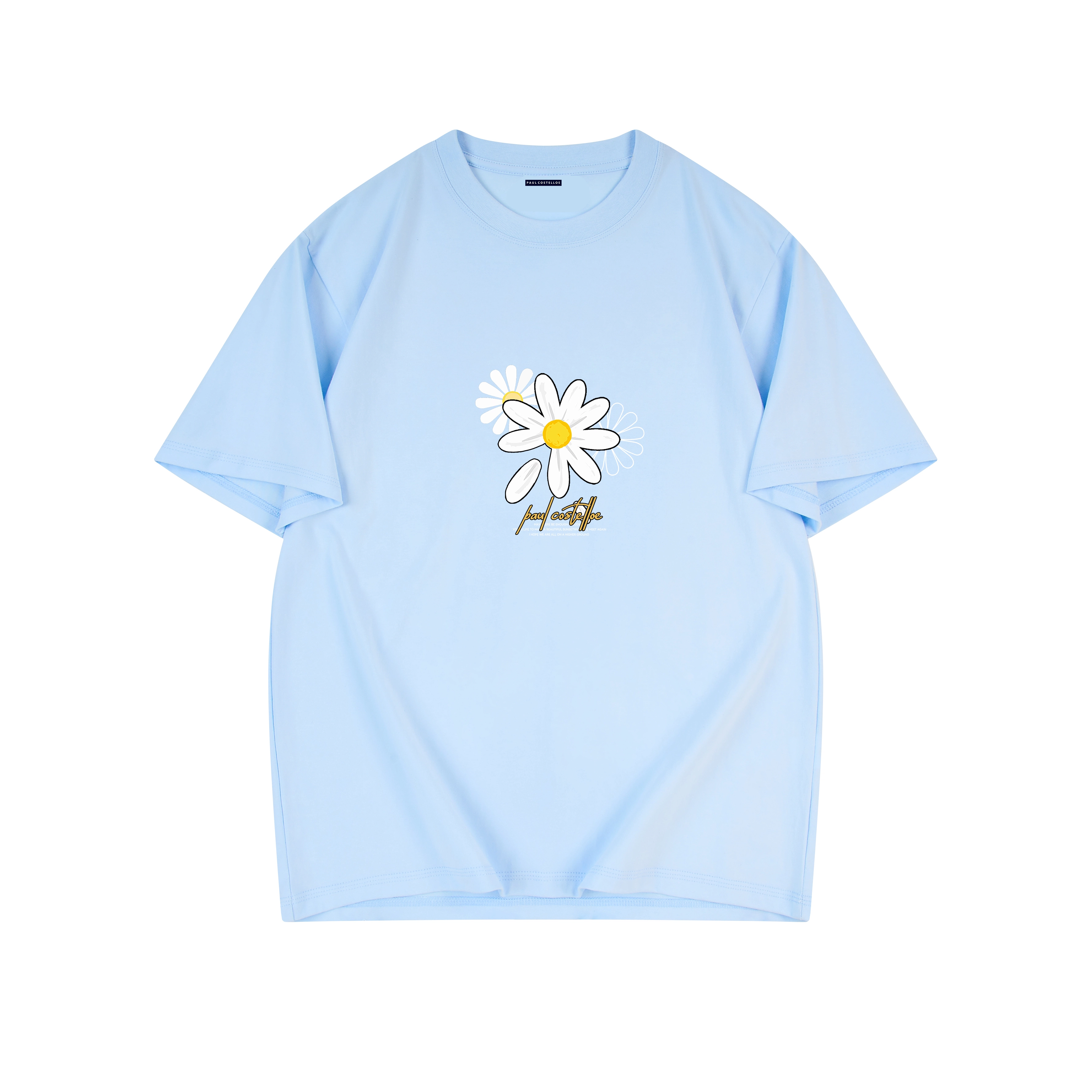 PAUL COSTELLOE T