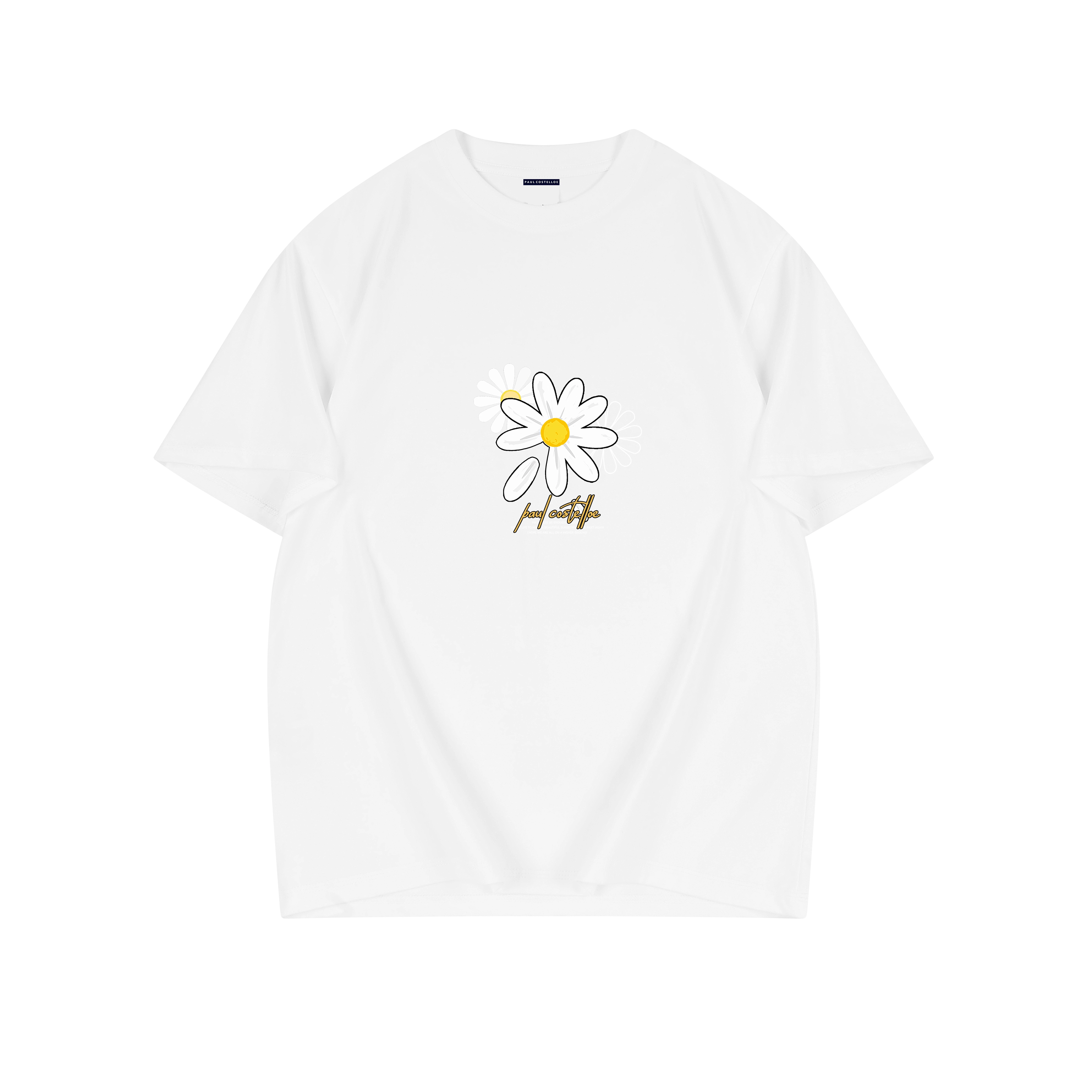 PAUL COSTELLOE T