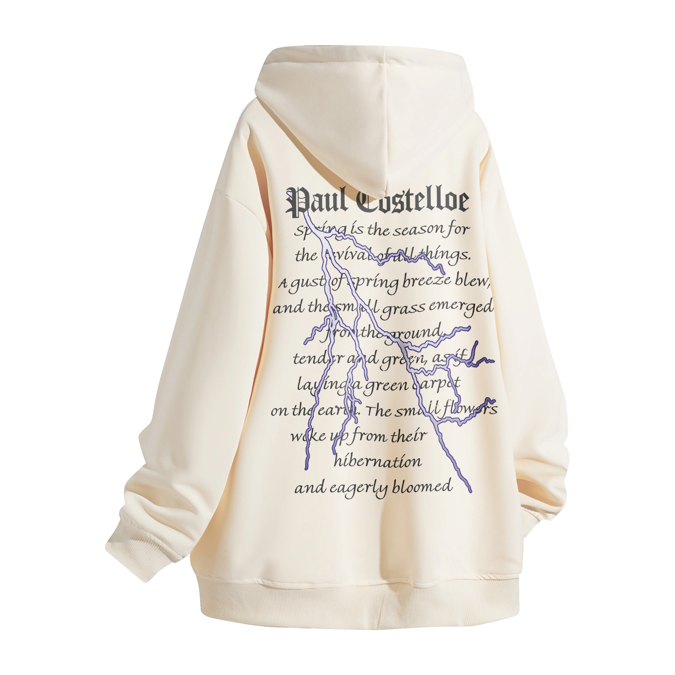 PAUL COSTELLOE logo