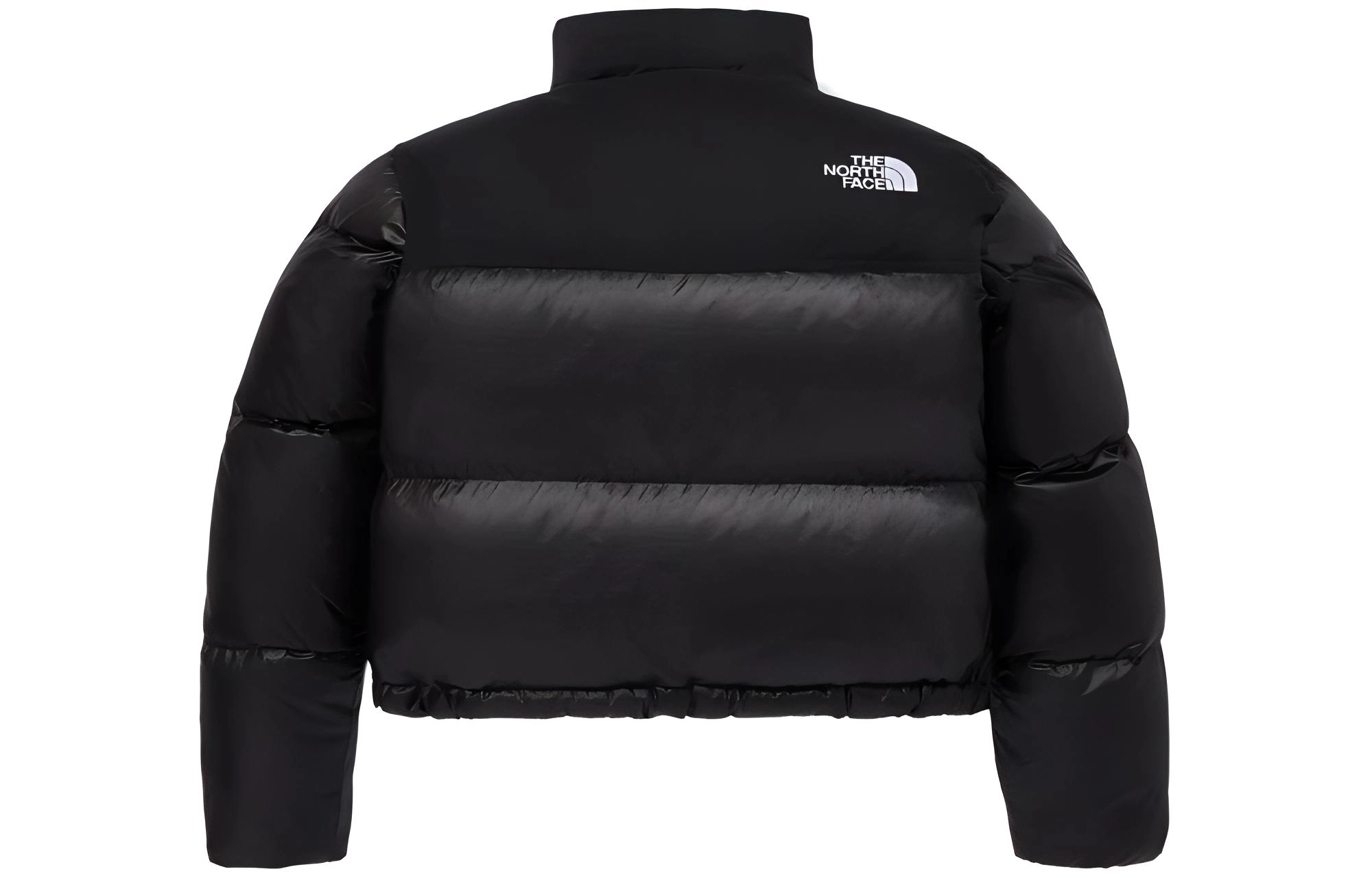 THE NORTH FACE W's Novelty Nuptse Down Jacket
