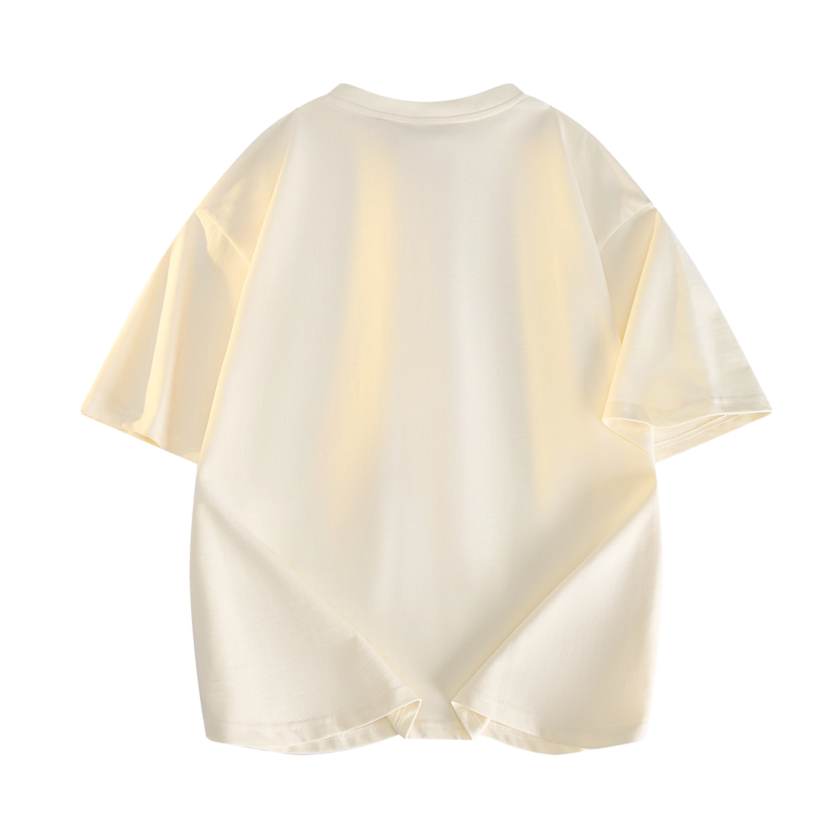 PAUL COSTELLOE T