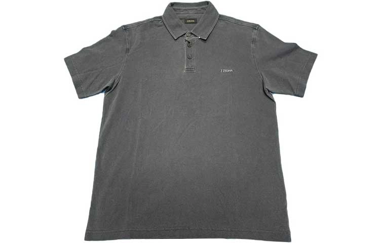 Zzegna LogoPolo