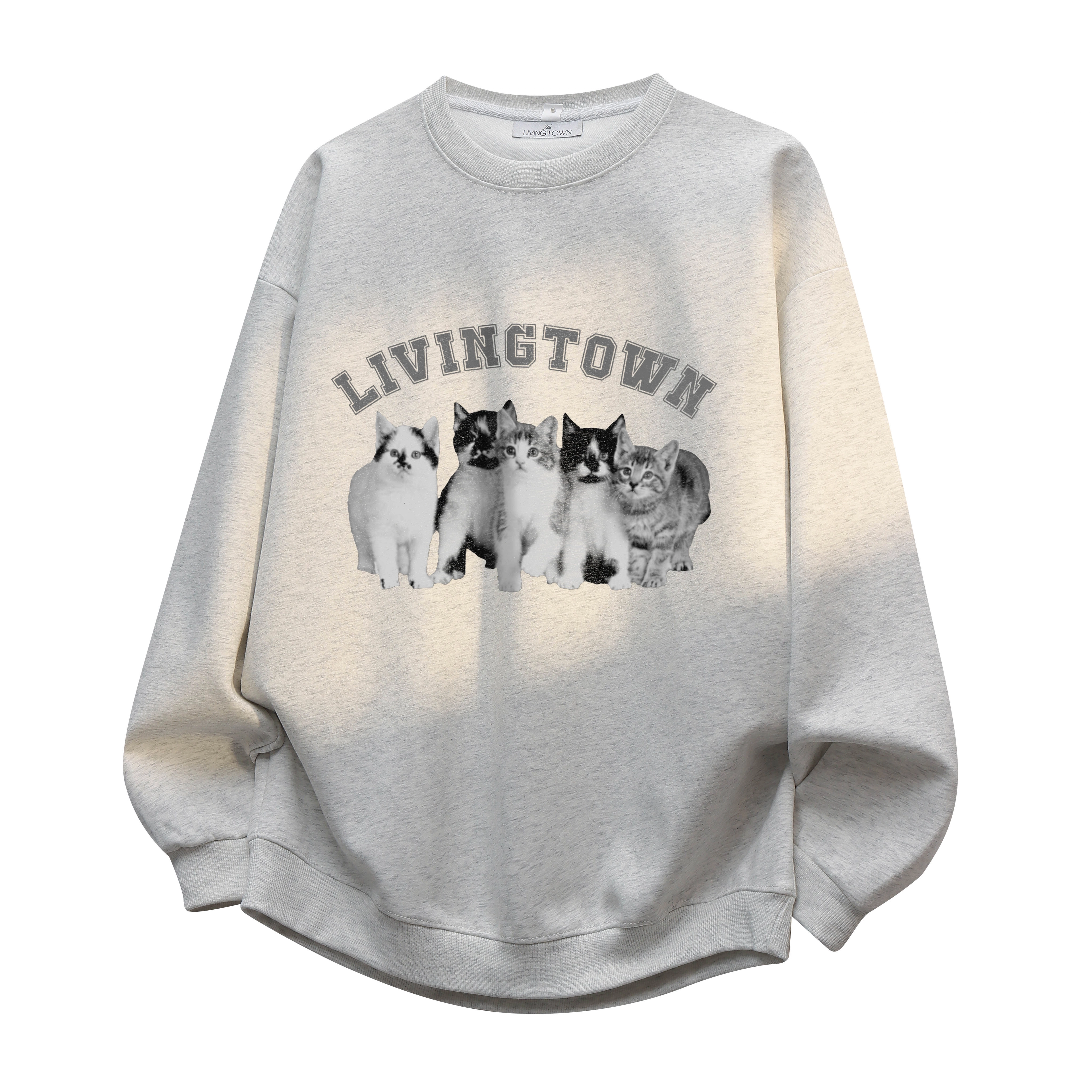 LIVINGTOWN