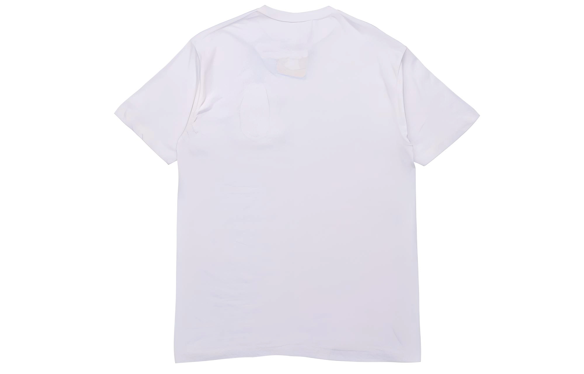 RIPNDIP T