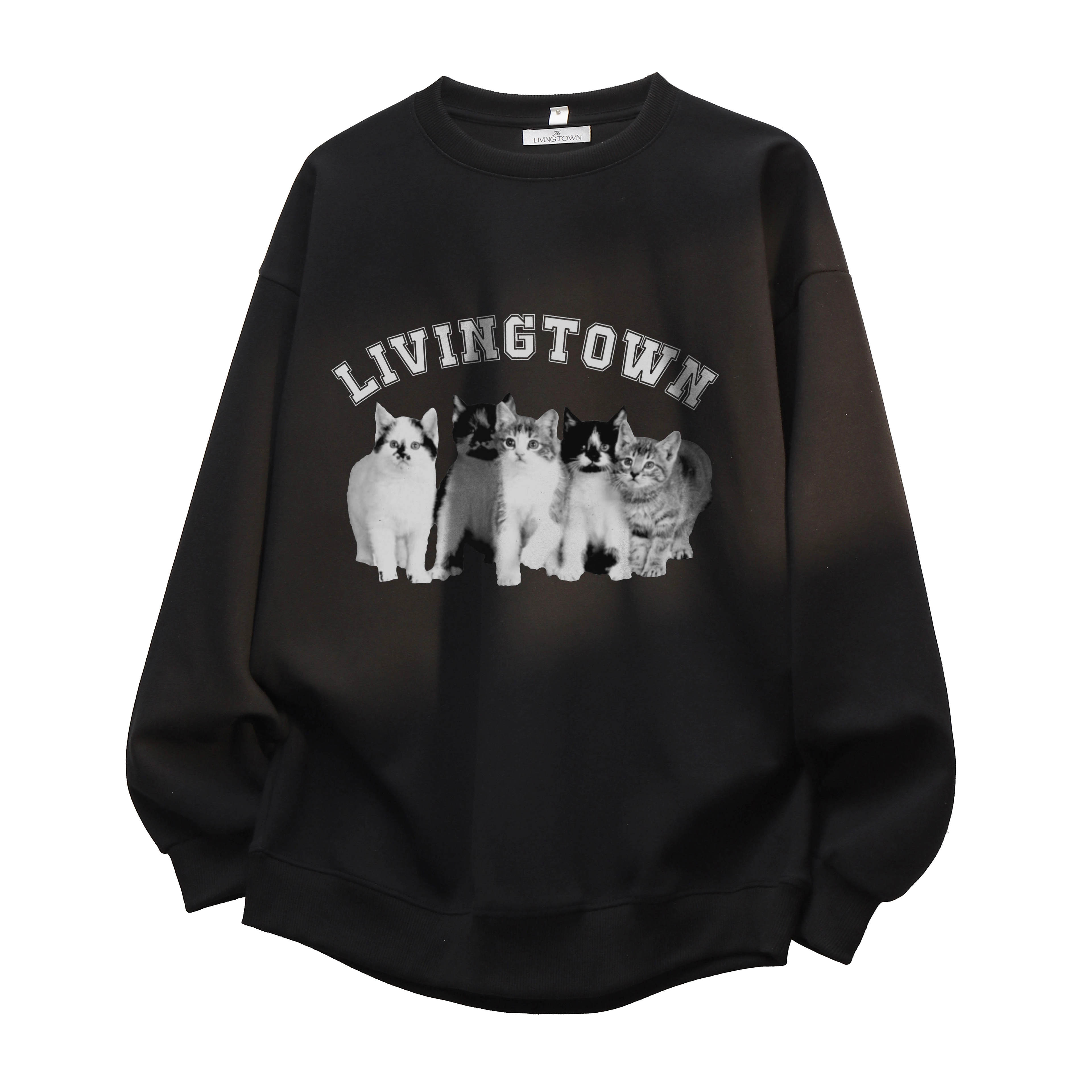 LIVINGTOWN