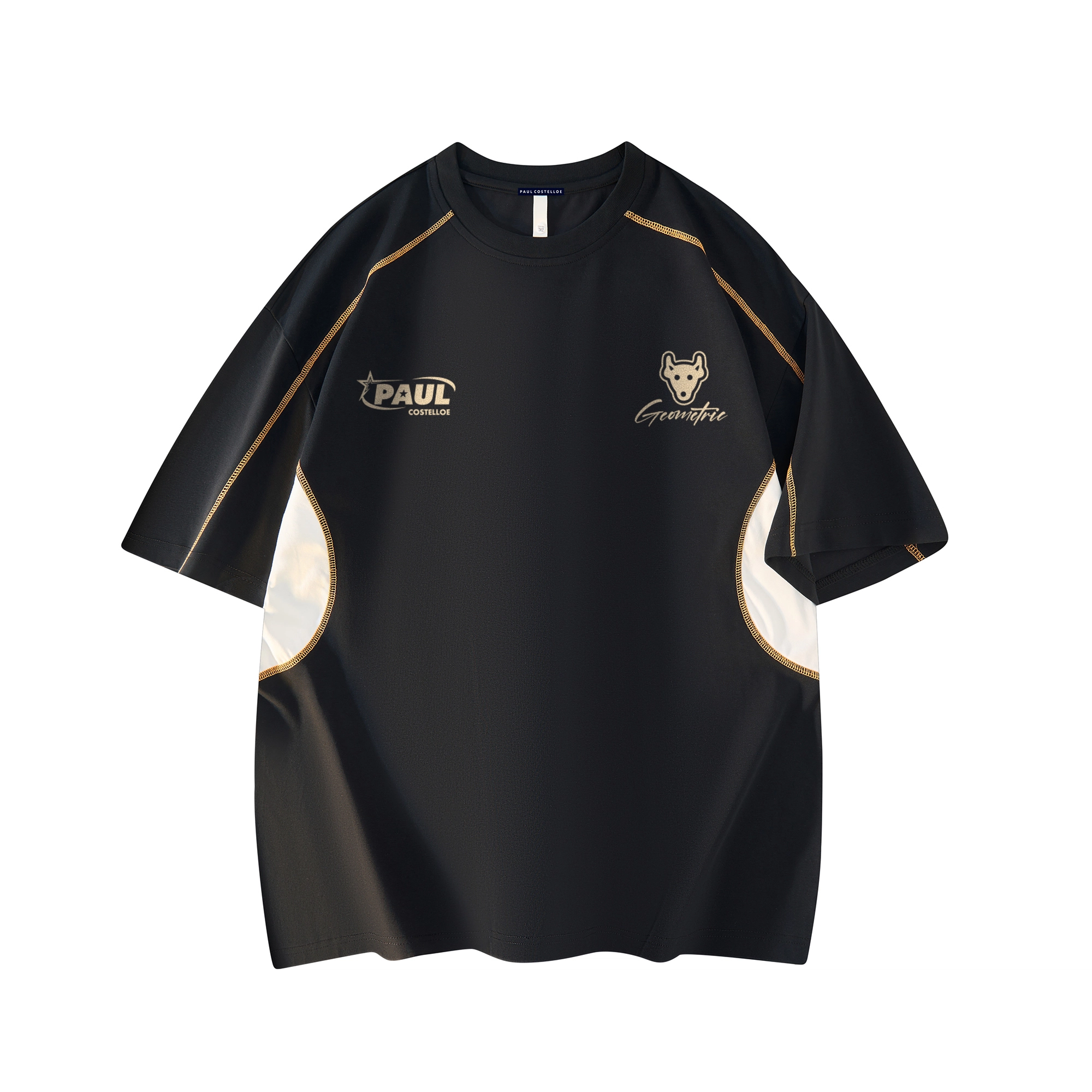 PAUL COSTELLOE T