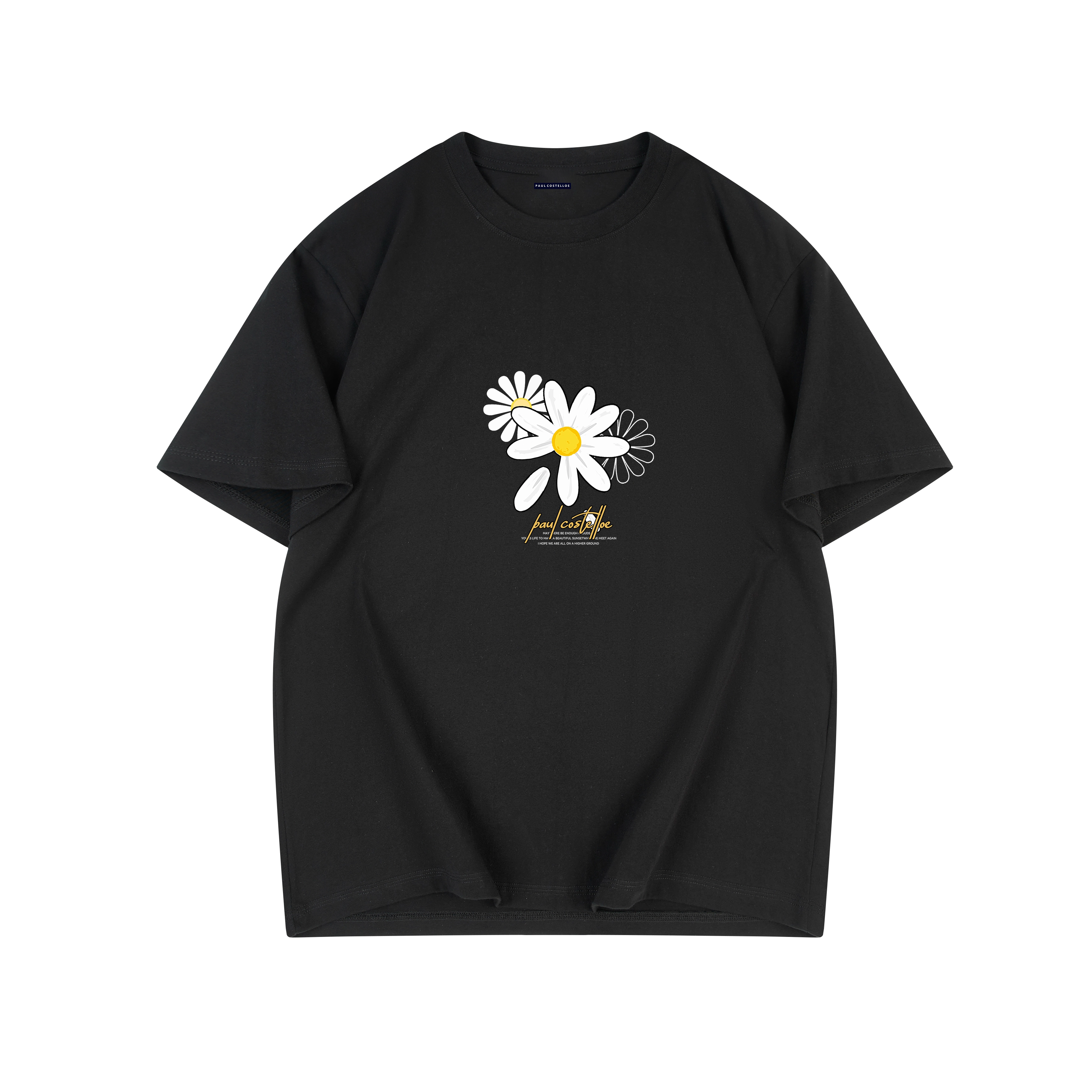PAUL COSTELLOE T
