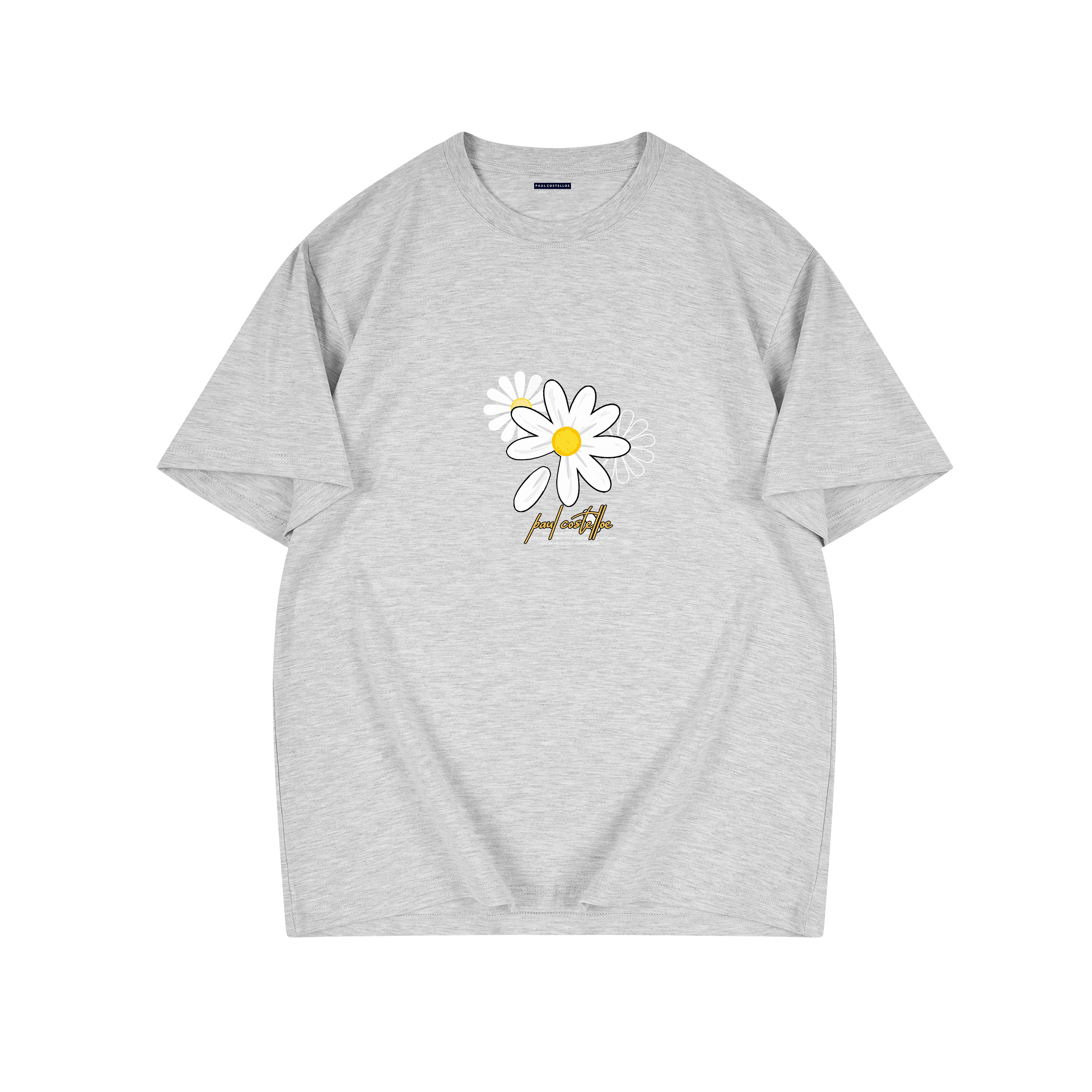 PAUL COSTELLOE T